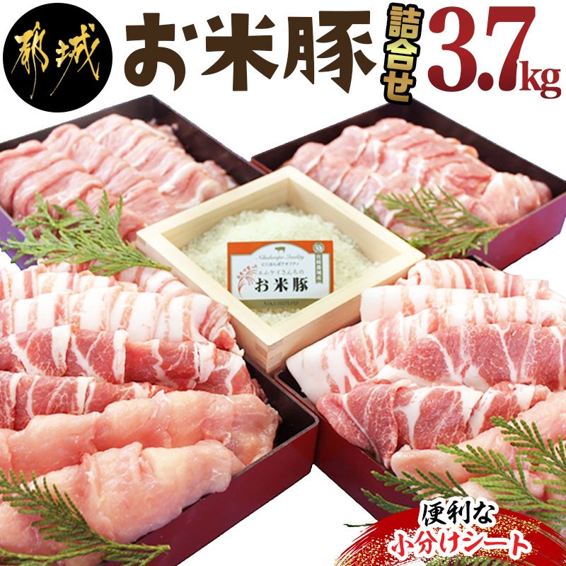 楽天ふるさと納税