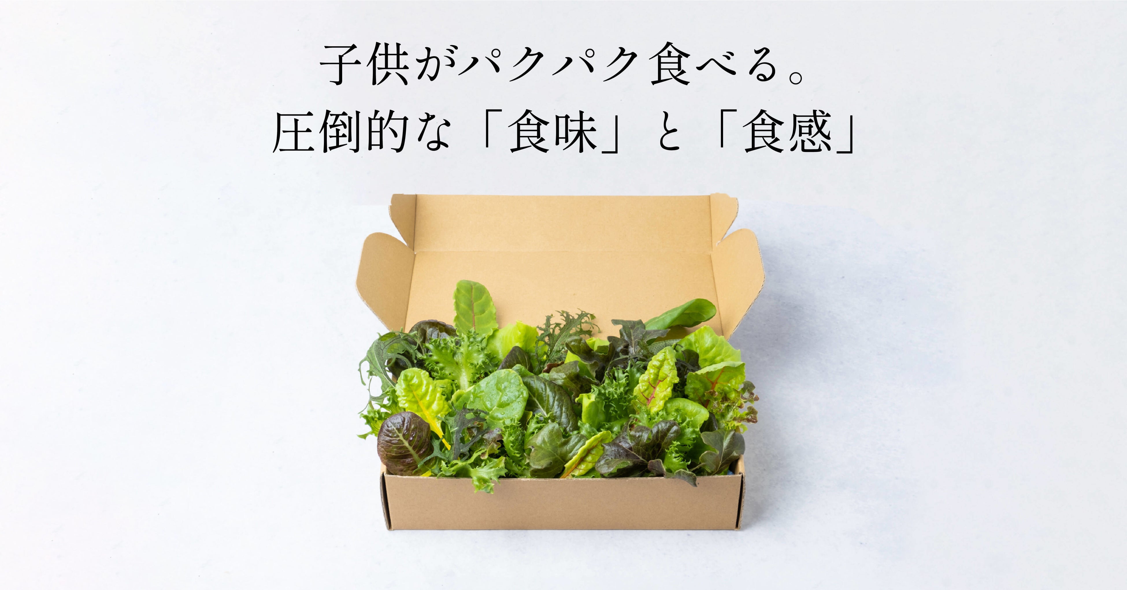 【販売商品】5種の常備野菜セット
