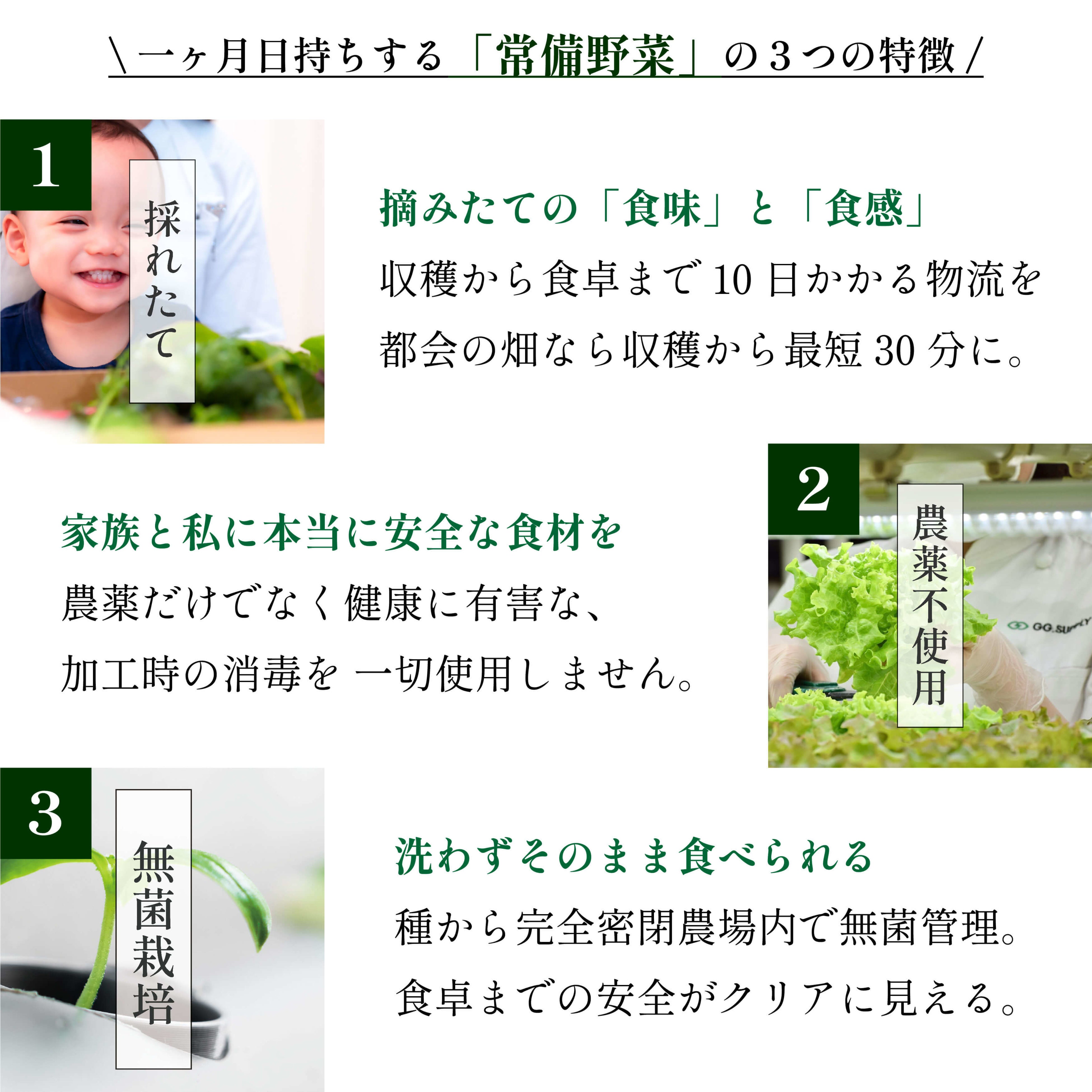 一ヶ月日持ちする常備野菜の３つの特徴