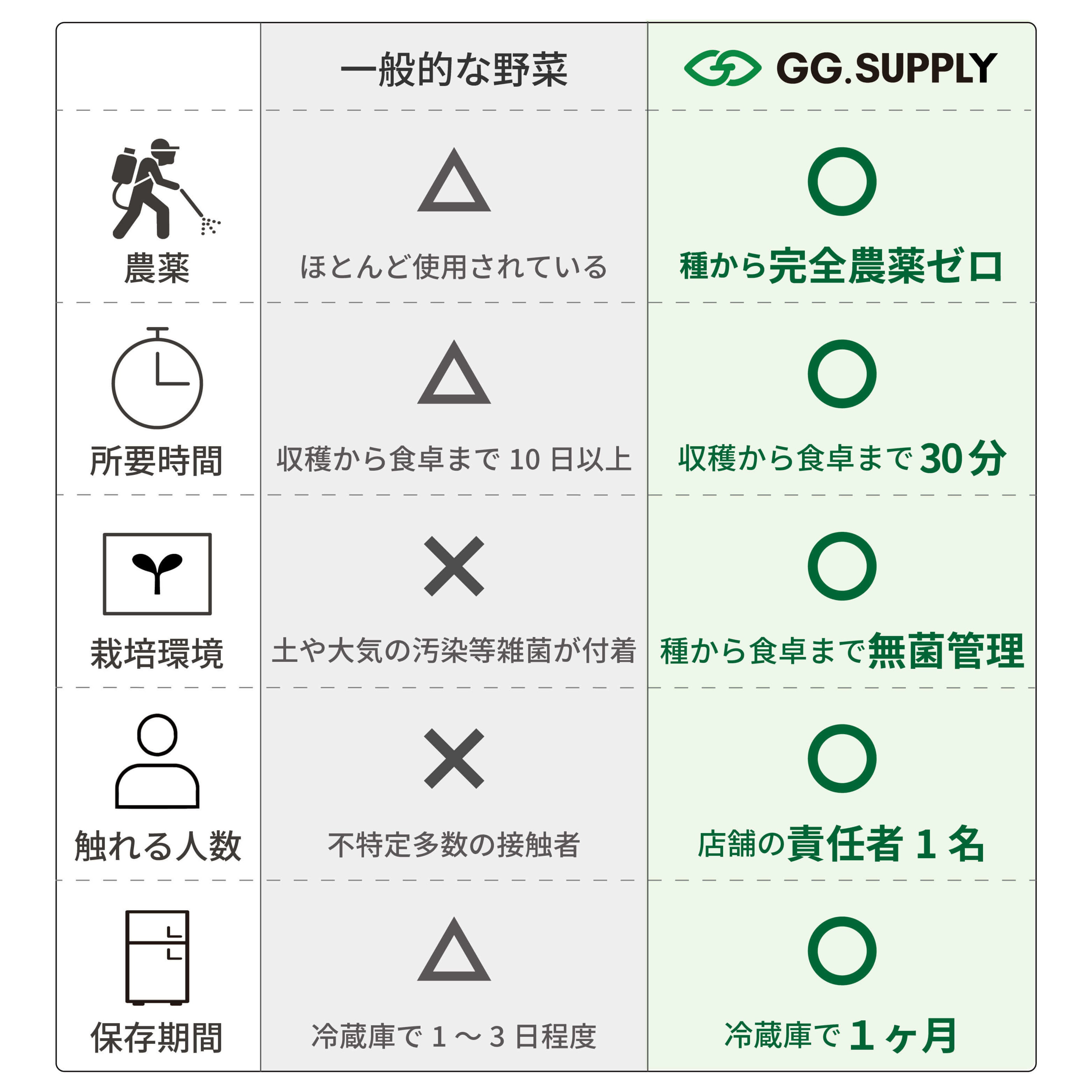 一般的な野菜との比較