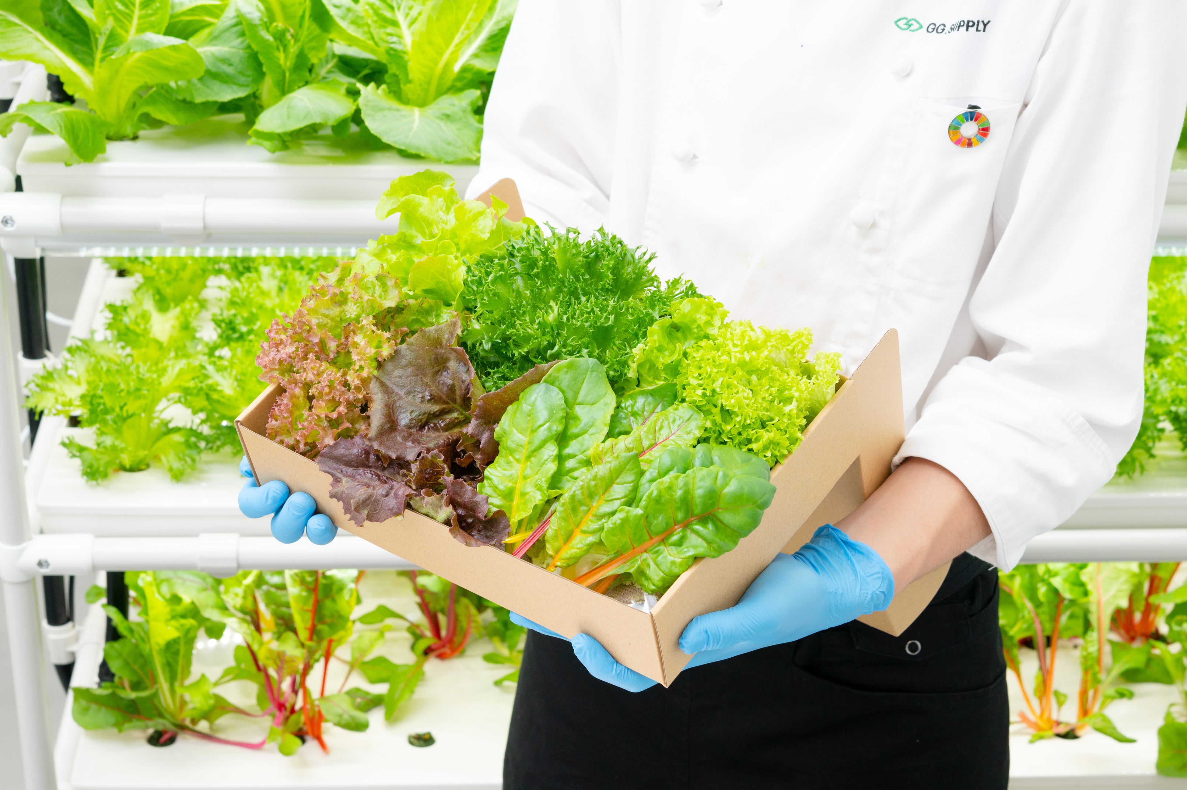 GG.SUPPLYの一ヶ月日持ちする「常備野菜」