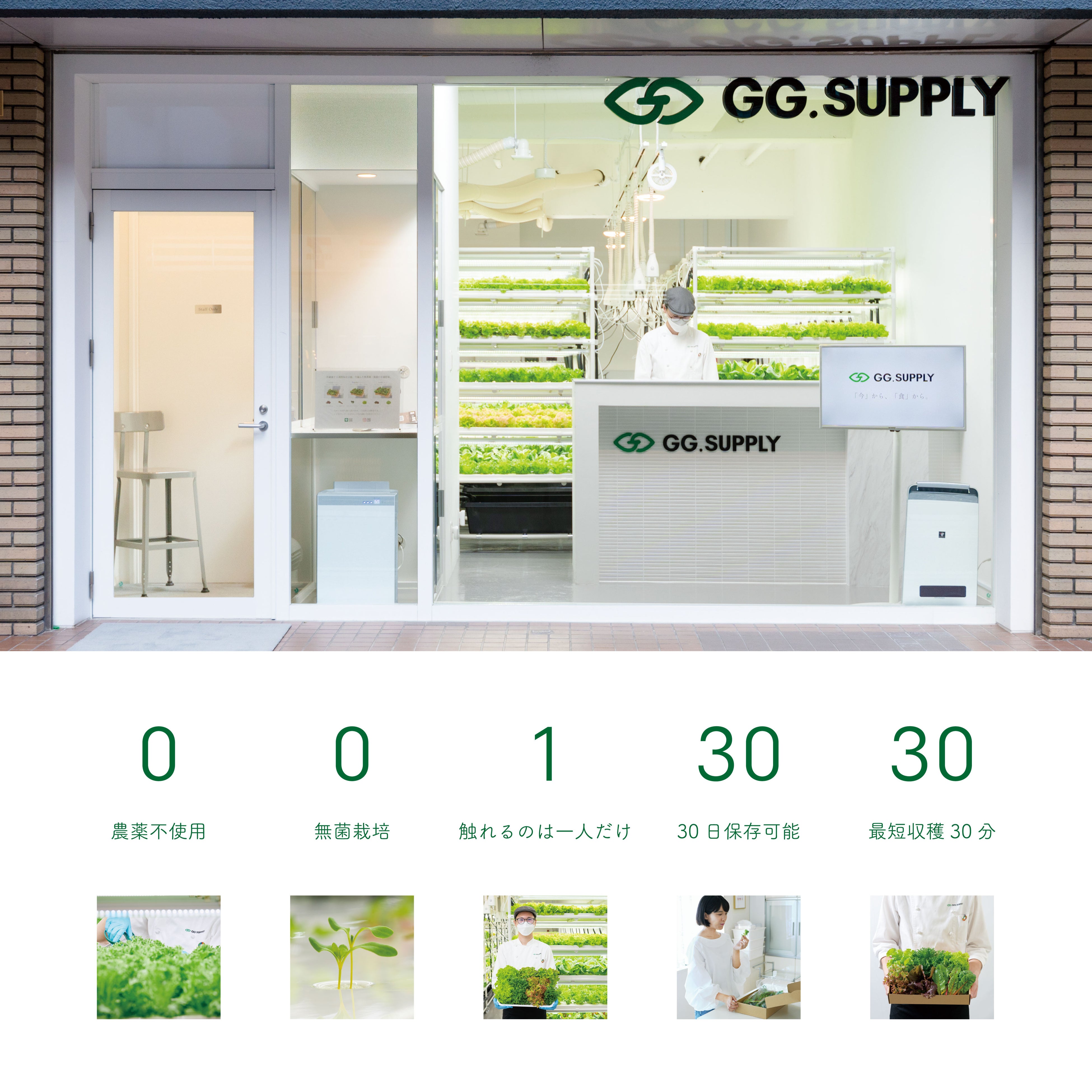野菜物流を変える都会の畑「GG.SUPPLY」