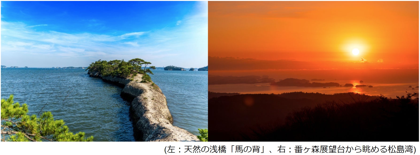 宮城県利府町の一部エリアにて9月13日から電動キックボードシェア 宮城県利府町の一部エリアにて9月13日から電動キックボードシェア