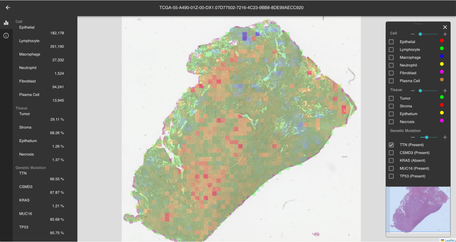 ドライバー遺伝子変異の推定結果と変異ありと判定した場合の根拠になっている領域の可視化結果