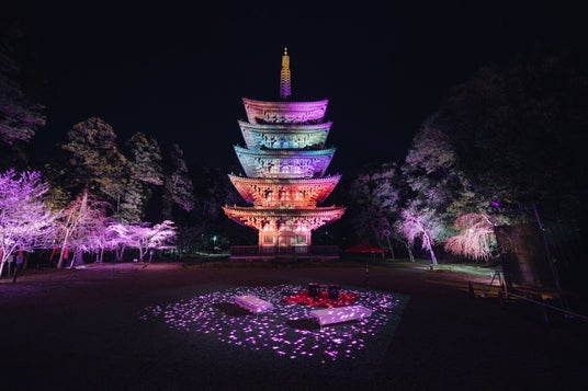 桜満開間近!『そうだ 京都、行こう。Presents NAKED meets 世界遺産 醍醐寺 -醍醐花見―』好評開催中 桜満開間近!『そうだ 京都、行こう。Presents NAKED meets 世界遺産 醍醐寺 -醍醐花見―』好評開催中