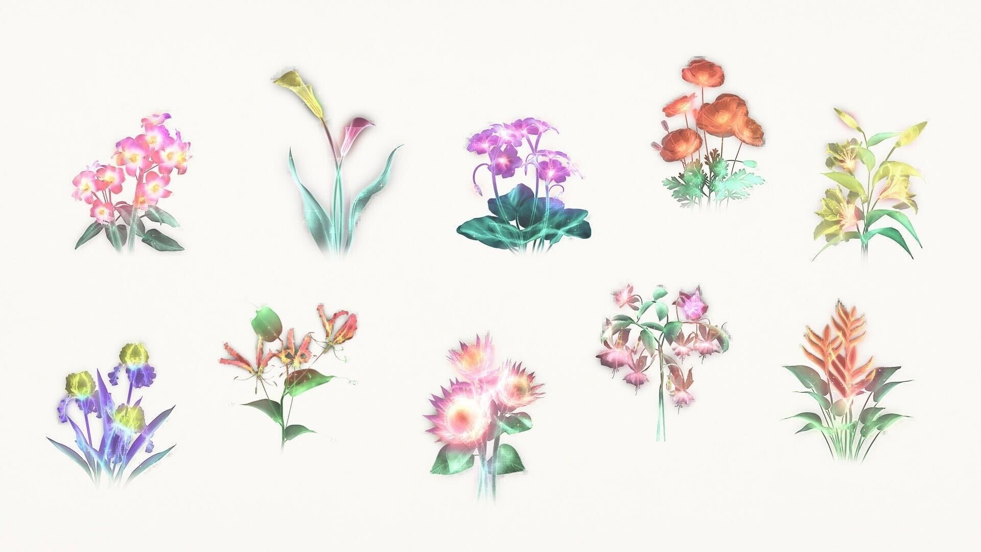 ”押し花”