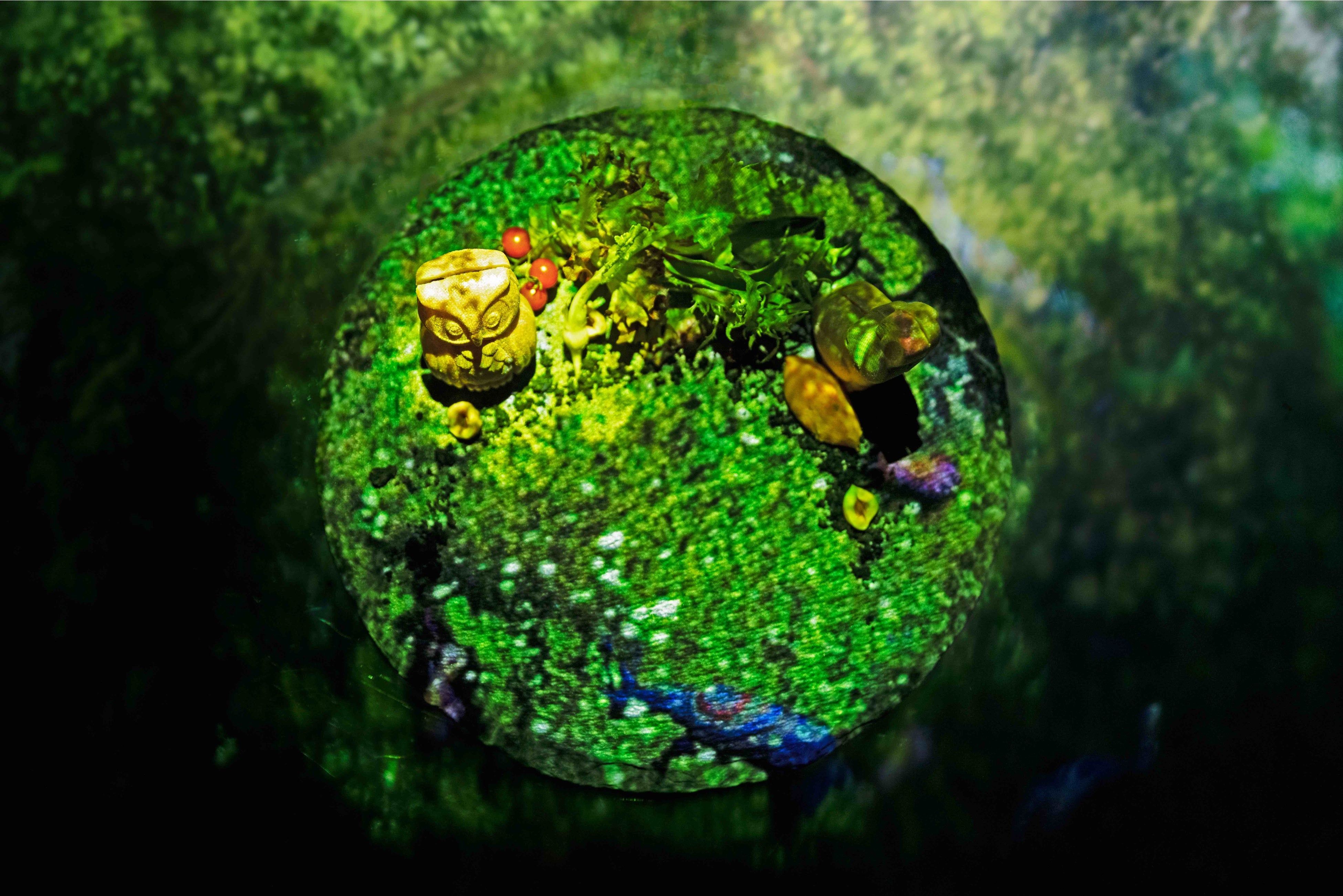 ディナーコース：土