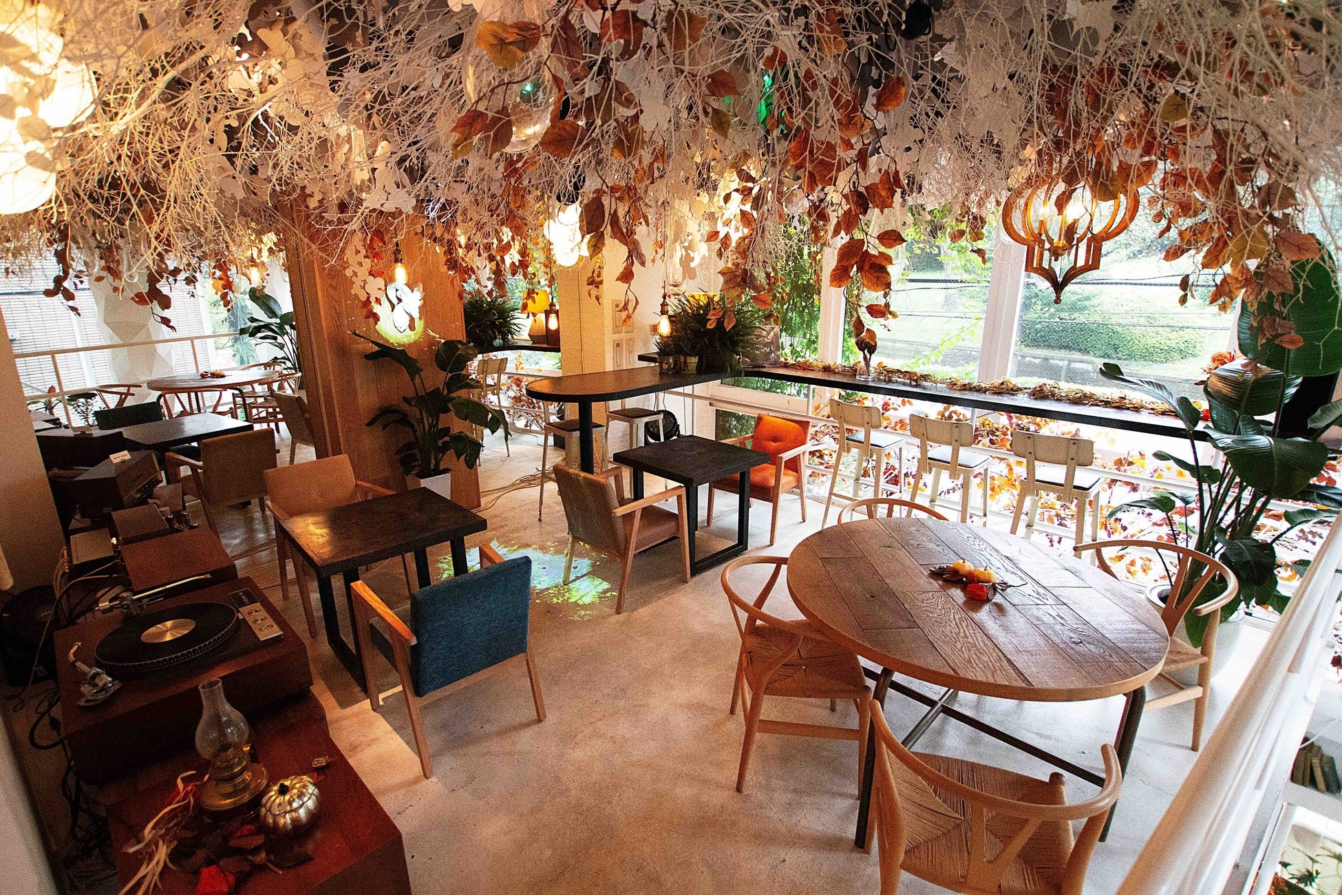 栗やリンゴなどの秋の味覚を代々木公園前で楽しむアートカフェ 株式会社ネイキッドのプレスリリース 栗やリンゴなどの秋の味覚を代々木公園前で楽しむアートカフェ 株式会社ネイキッドのプレスリリース