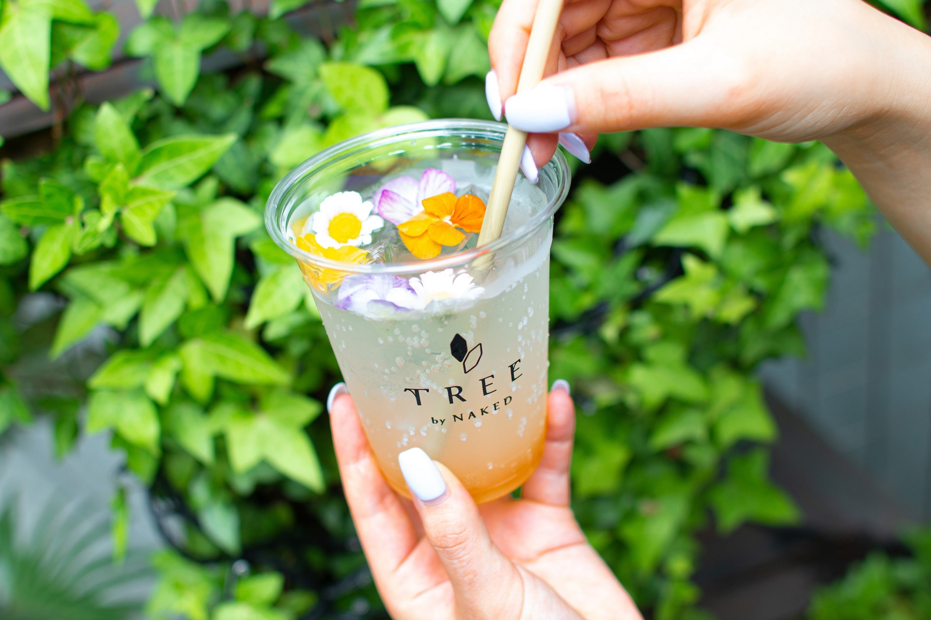 『自家製ジンジャエール』※画像はイメージです。