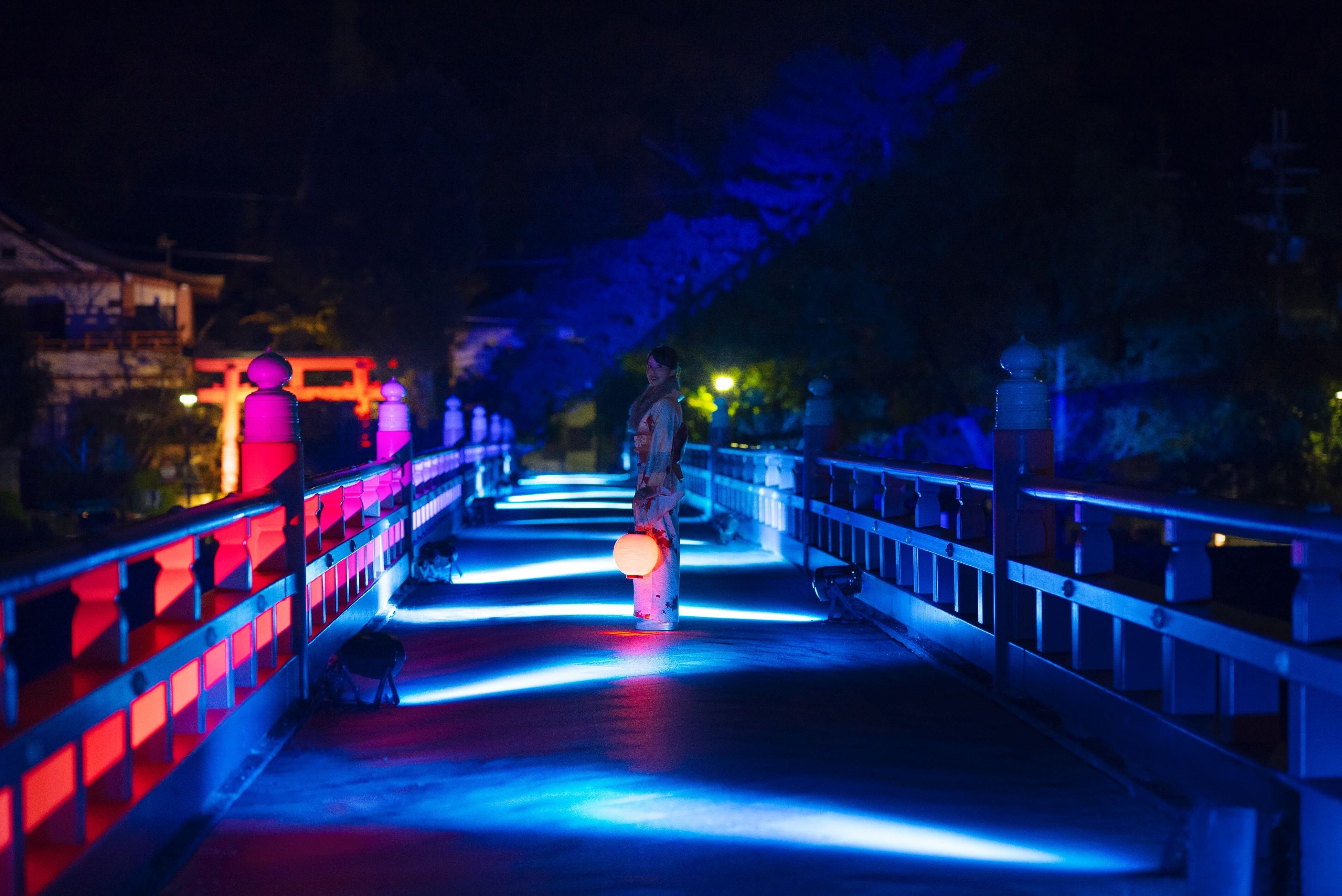 朝霧橋ライトアップ×インタラクティブ