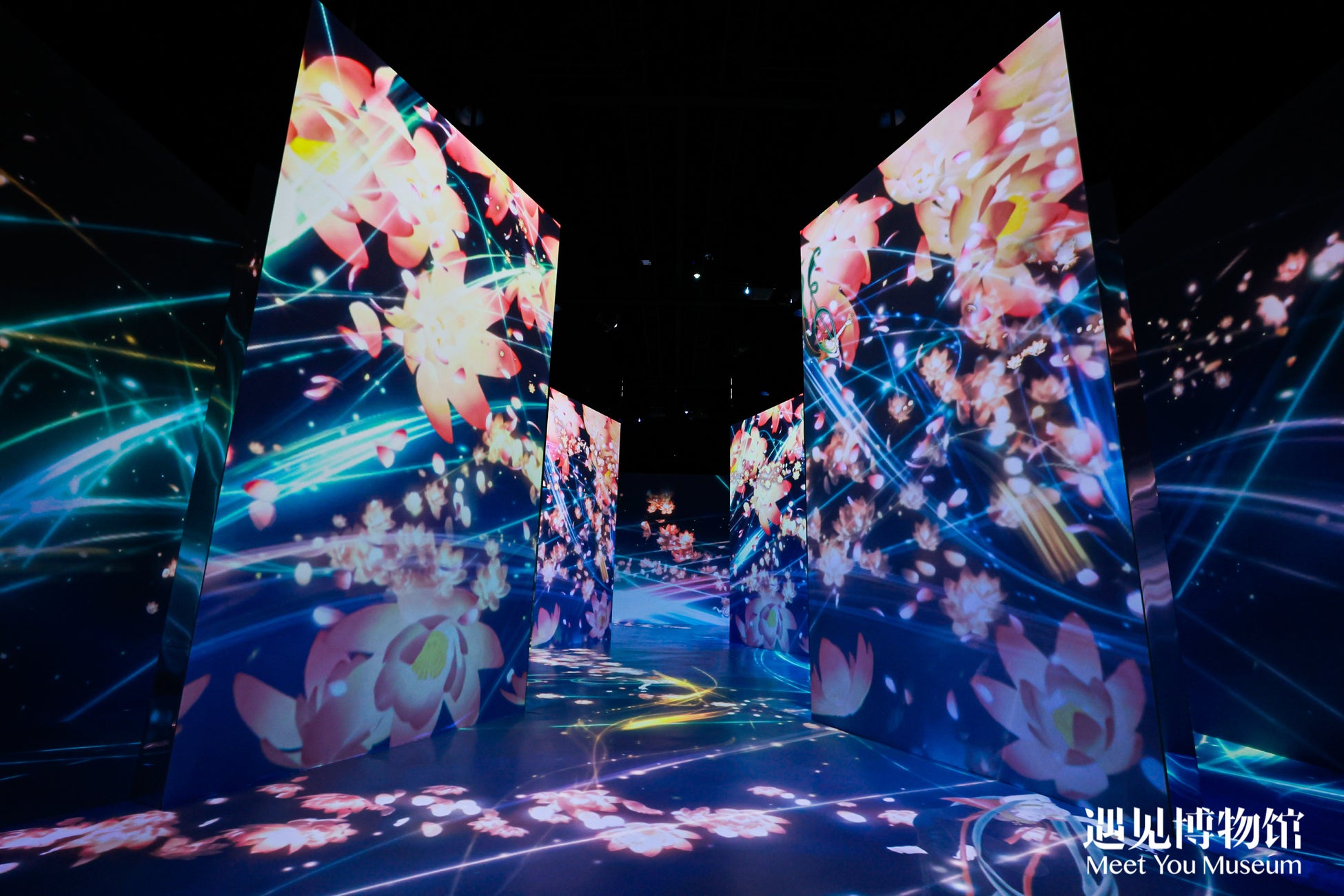 「遇見敦煌」が上海で大ヒット!ネイキッドが手がけた光影アート展が20万人を魅了 「遇見敦煌」が上海で大ヒット!ネイキッドが手がけた光影アート展が20万人を魅了