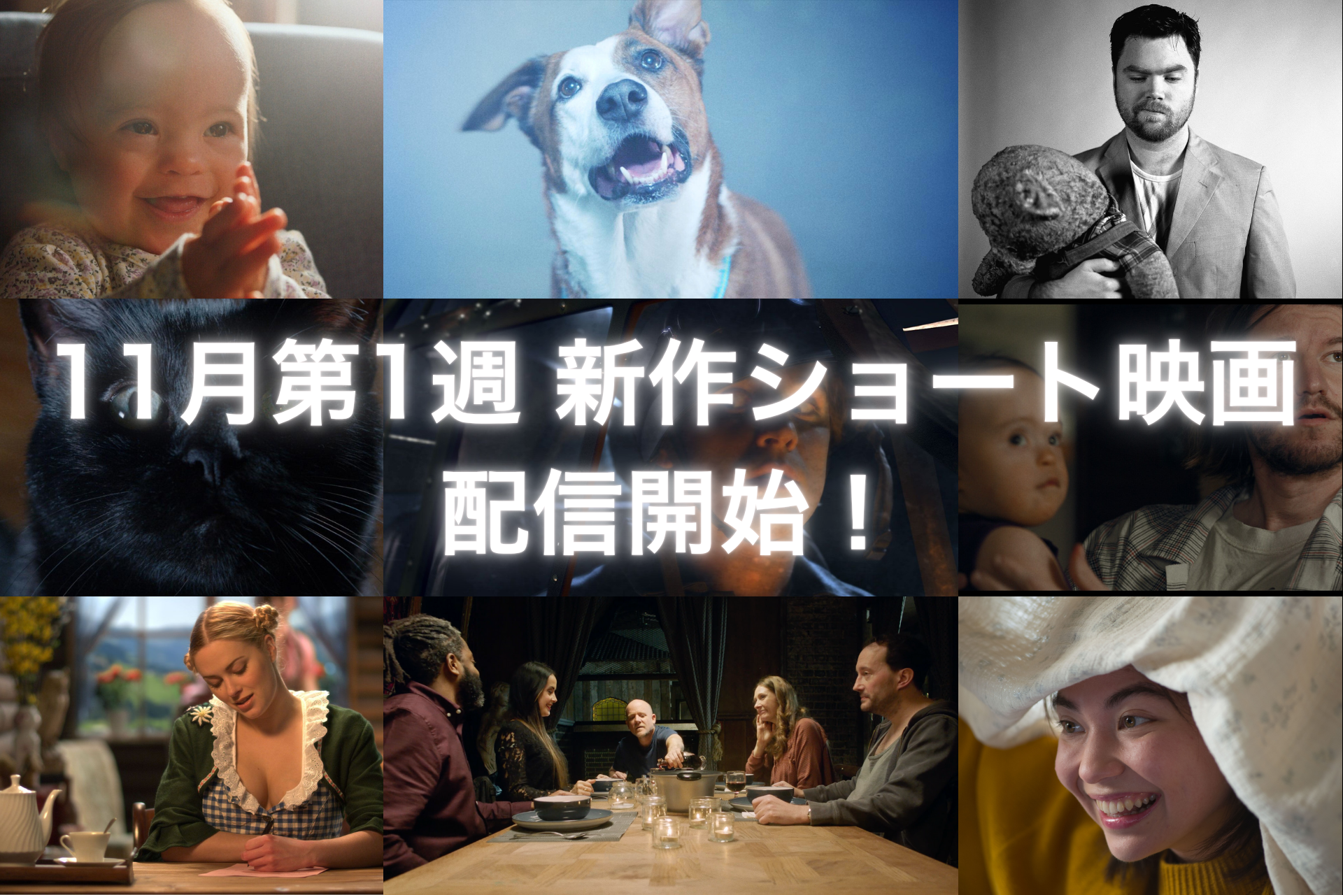 映画ポスター 「ソドムの市」新品 ZC/B2判 映画ポスター「ソドムの市」ver.2 監督 ピエル・パオロ