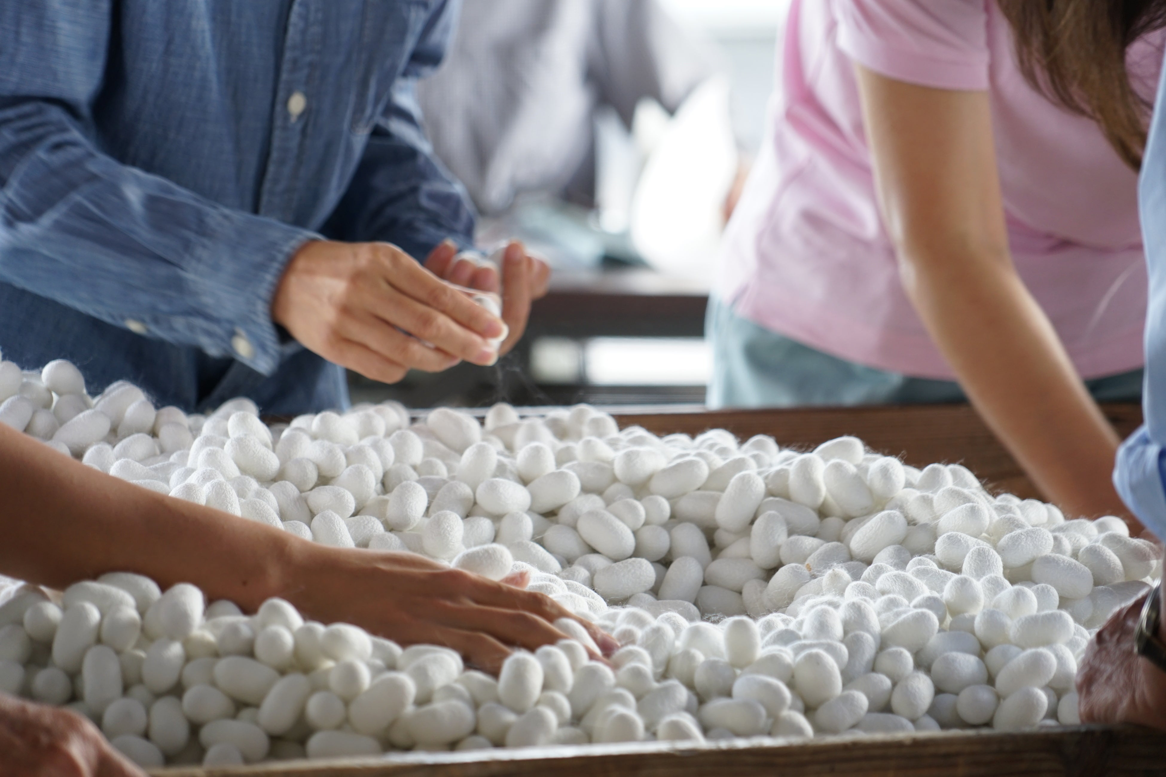 繭出荷の様子（パーソルダイバース とみおか繭工房）