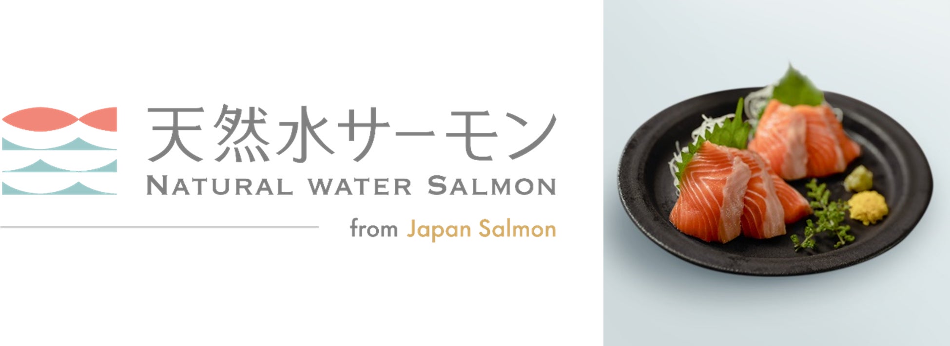 NECネッツエスアイグループ、「天然水サーモン」をAmazon.comにて販売開始