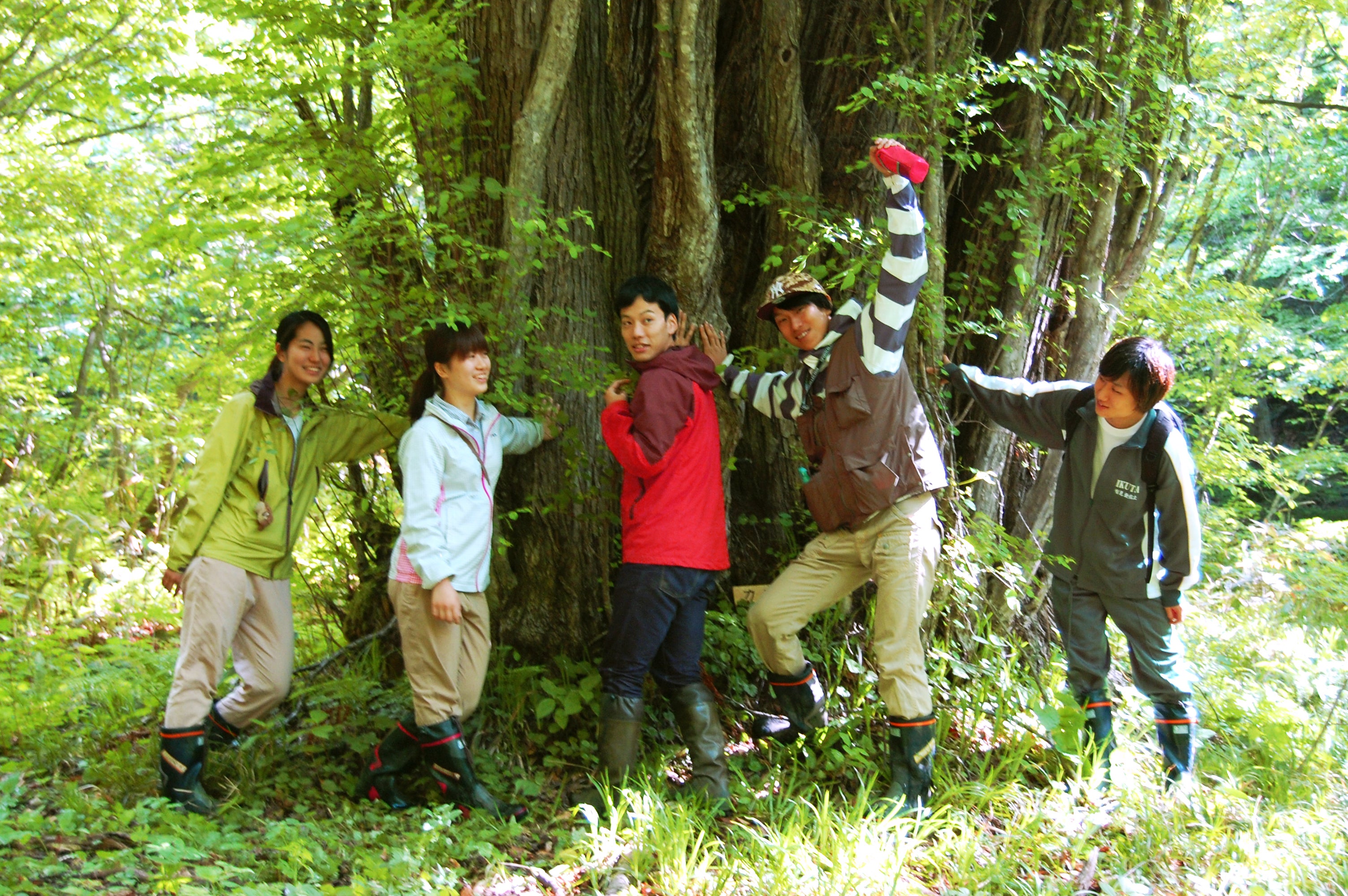 学生による地域の森の魅力探し