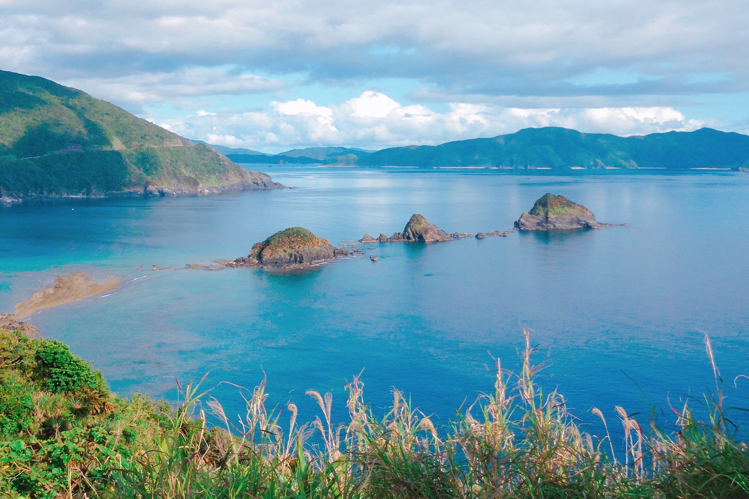 2021年に世界自然遺産に登録された奄美大島