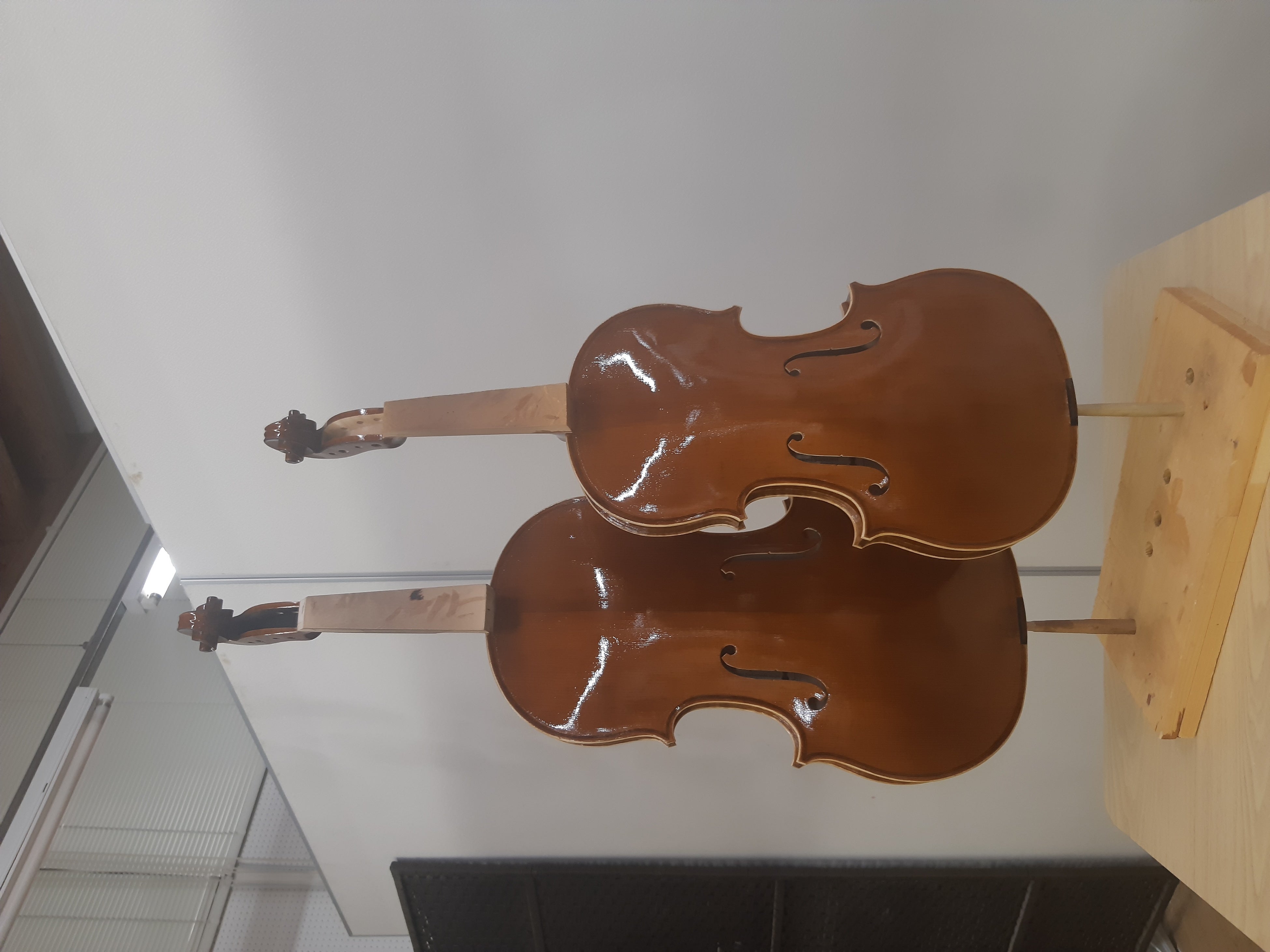現在製作中のヴァイオリンとヴィオラ。ヴィオラの方が一回り大きい
