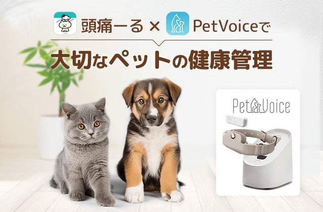 ペットの健康管理デバイス「PetVoice」が生成AI等を活用した新機能 ペットの健康管理デバイス「PetVoice」が生成AI等を活用した新機能