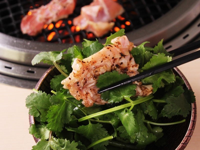 鶏ももとパクチー盛り