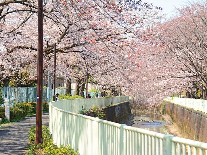 ロケーションイメージ