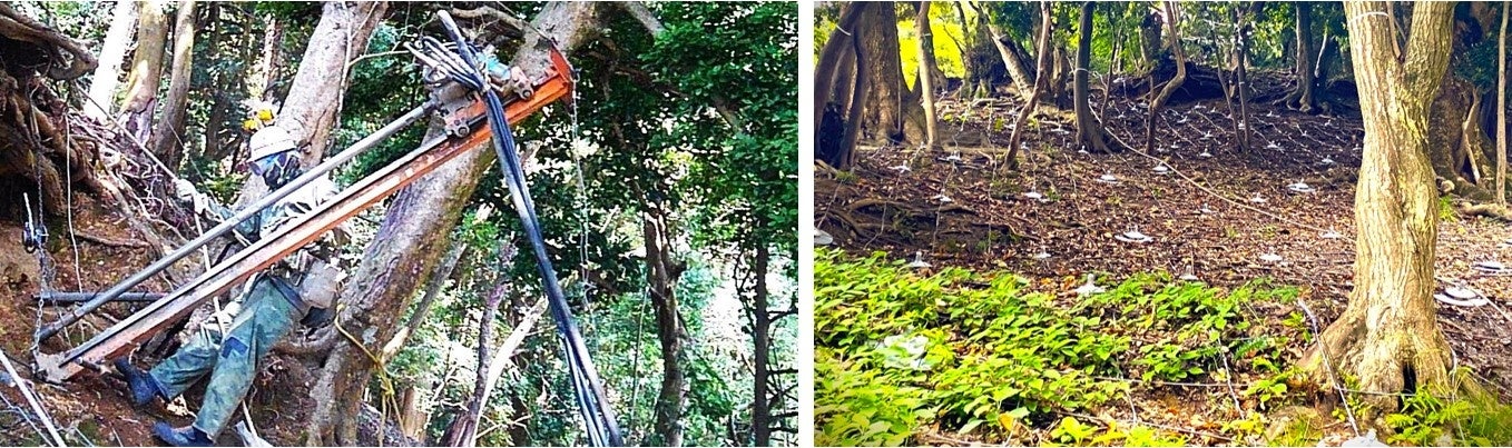 法面保護工事例（SD工法 + ユニットネット工法による森林を残した斜面補強）