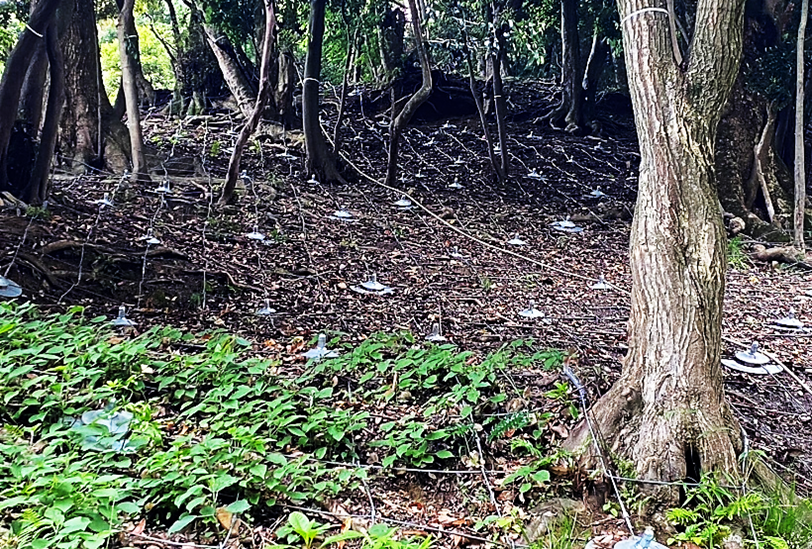 のり面保護技術：ユニットネット工法