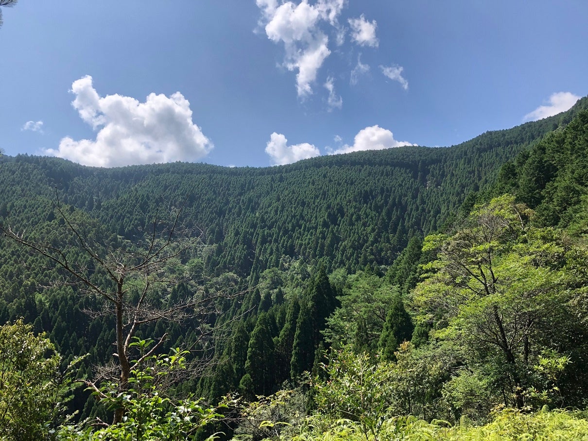 地元の森林の間伐材などを由来とした木質バイオマス燃料を使って発電された電気で地産地消