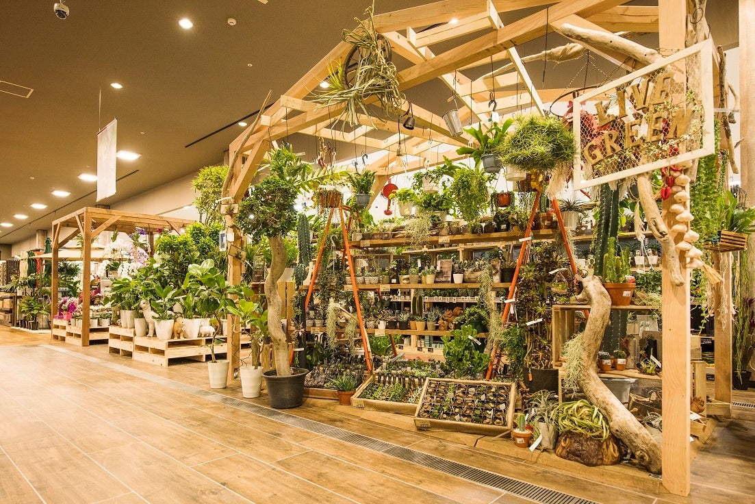 グリーンコーナー