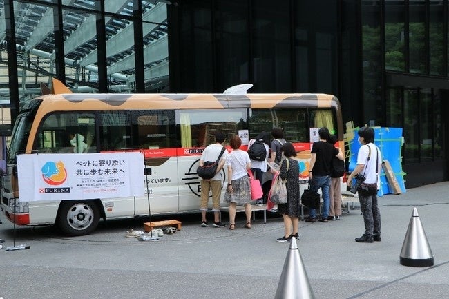 窓越しに保護猫と対面するお客様