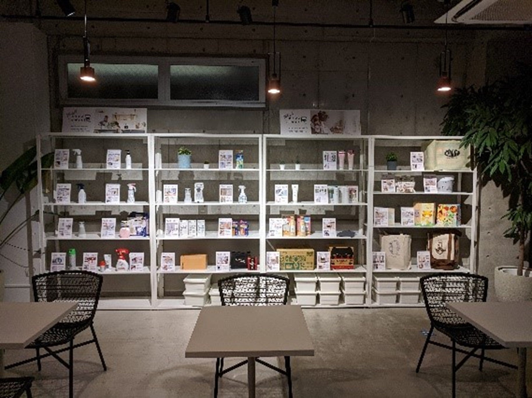 過去の展示の様子