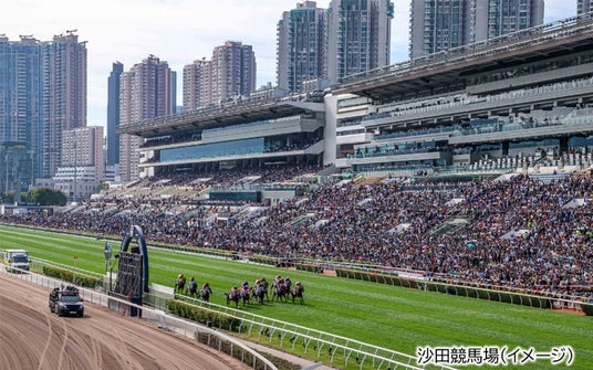 【HBC競馬部×HBCトラベル】HBC堀内大輝アナウンサーと行く!「香港国際競走観戦ツアー4日間」販売開始! 【HBC競馬部×HBCトラベル】HBC堀内大輝アナウンサーと行く!「香港国際競走観戦ツアー4日間」販売開始!