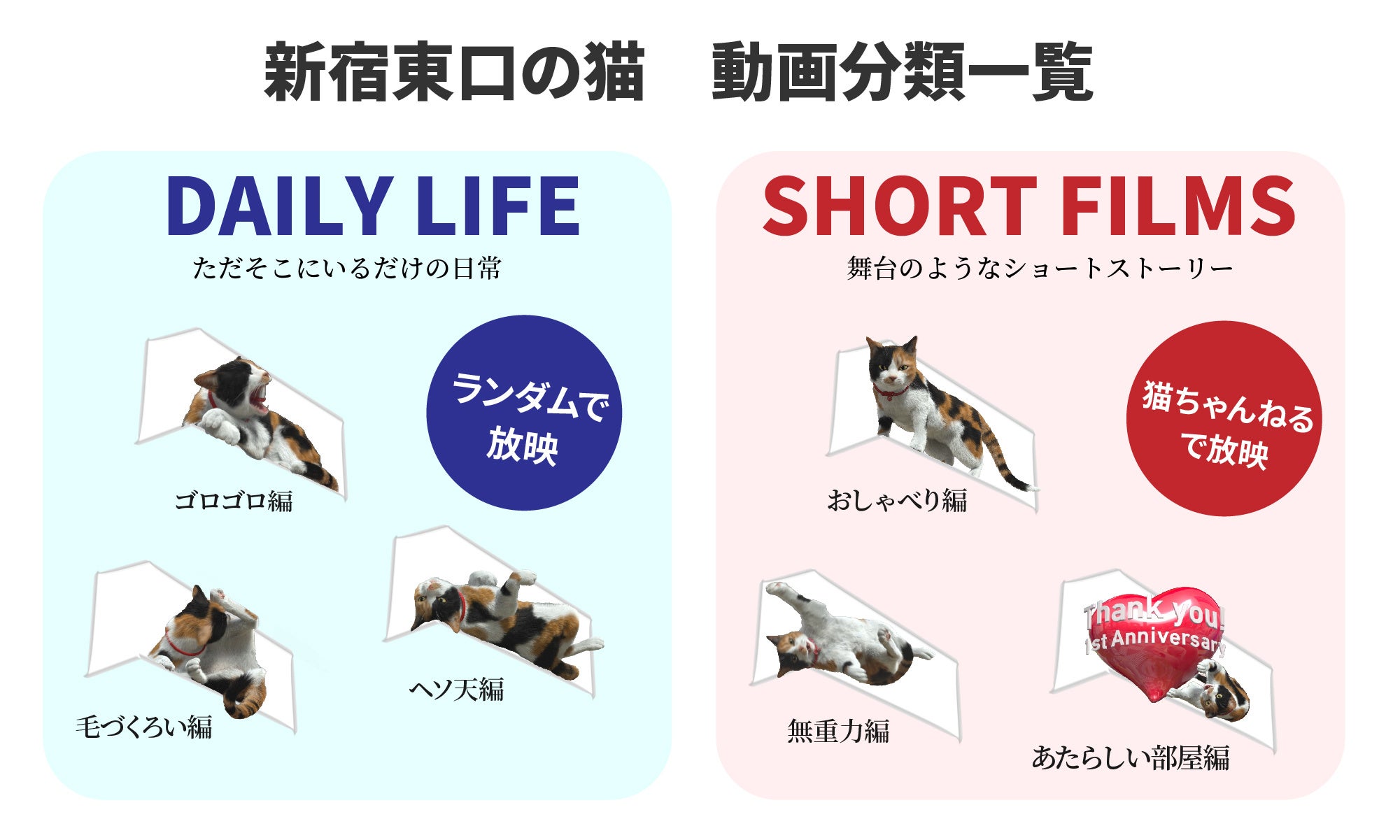 「新宿東口の猫」放映分類