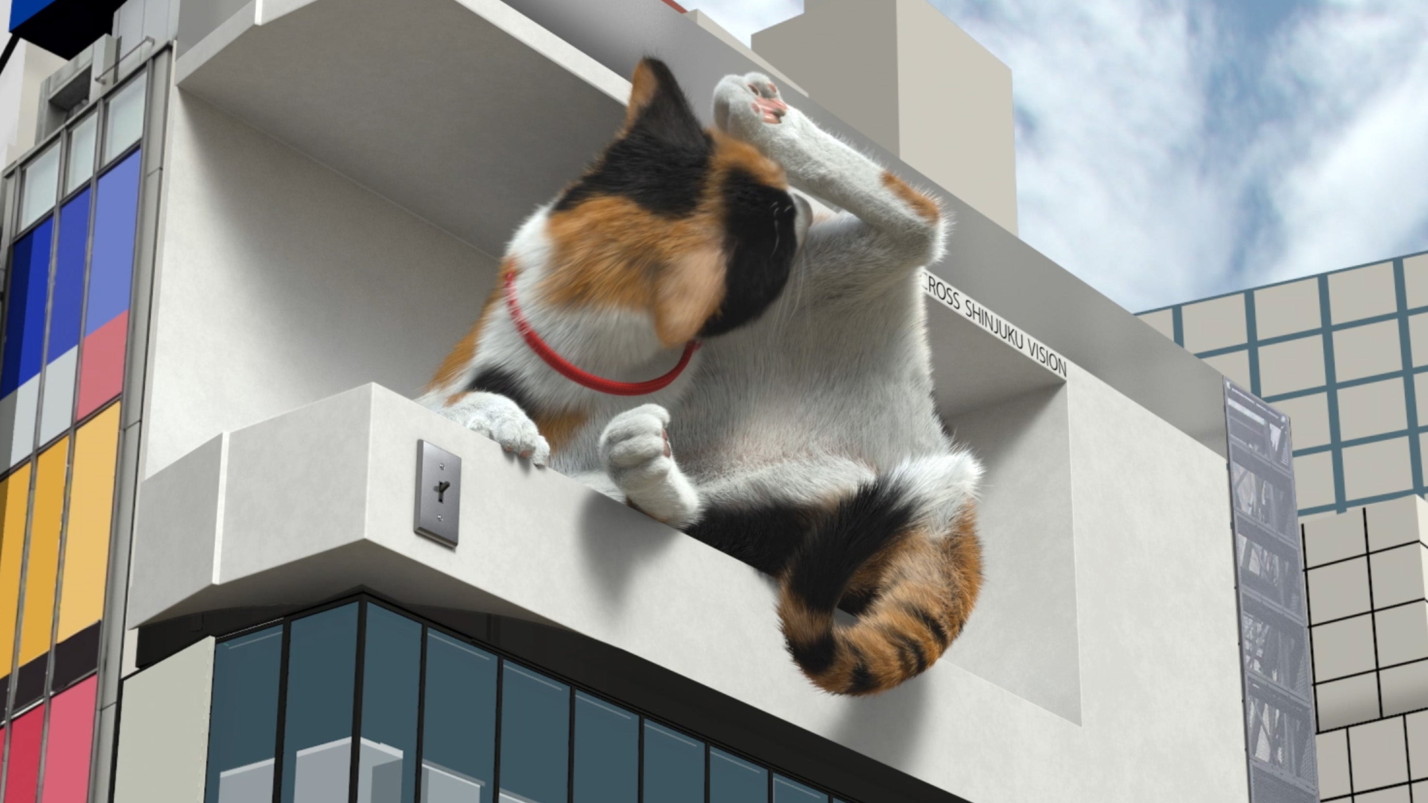 新宿東口の猫『毛づくろい編』