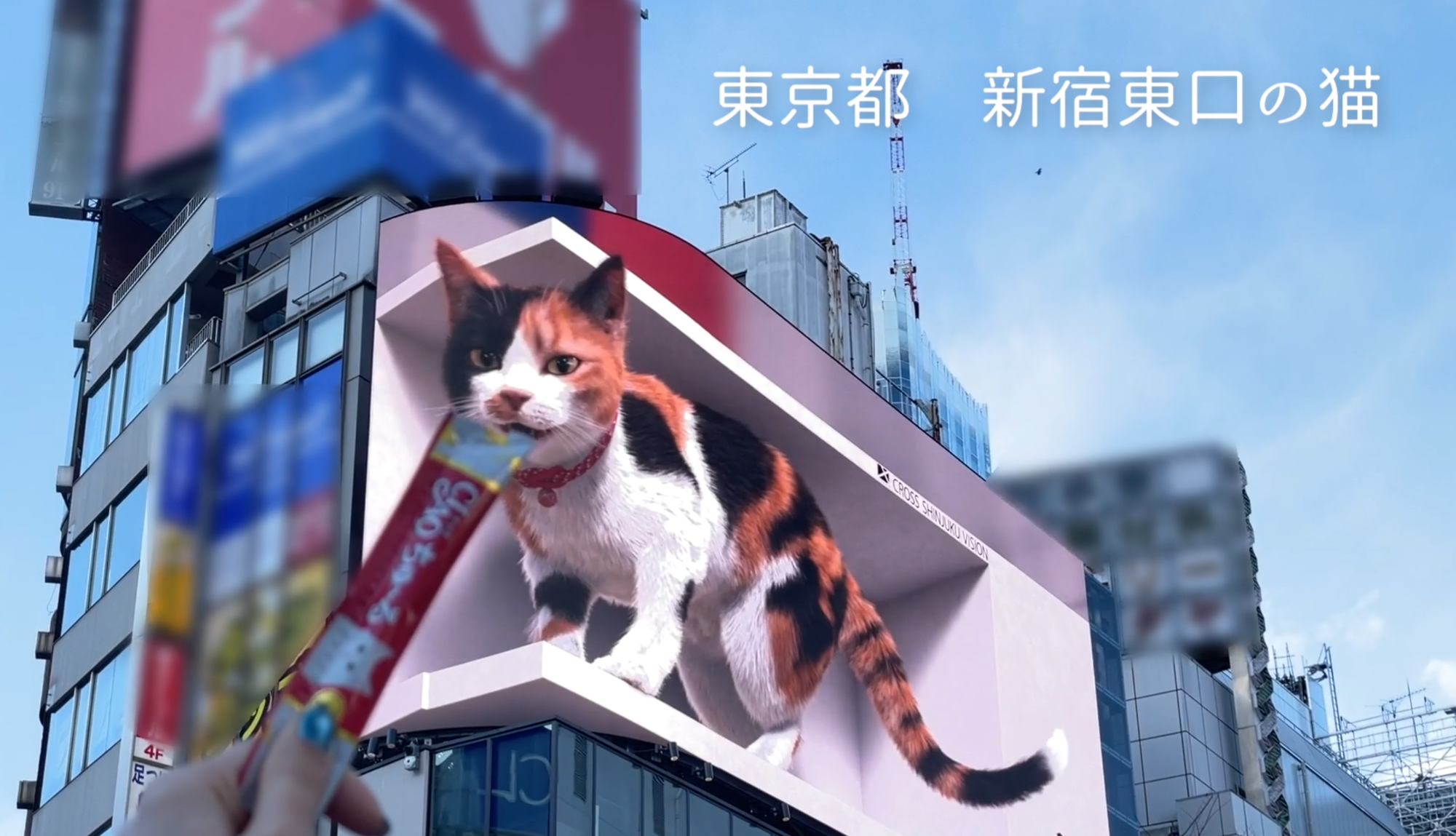 CIAOちゅ～るを新宿東口の猫に差し出すスタッフ