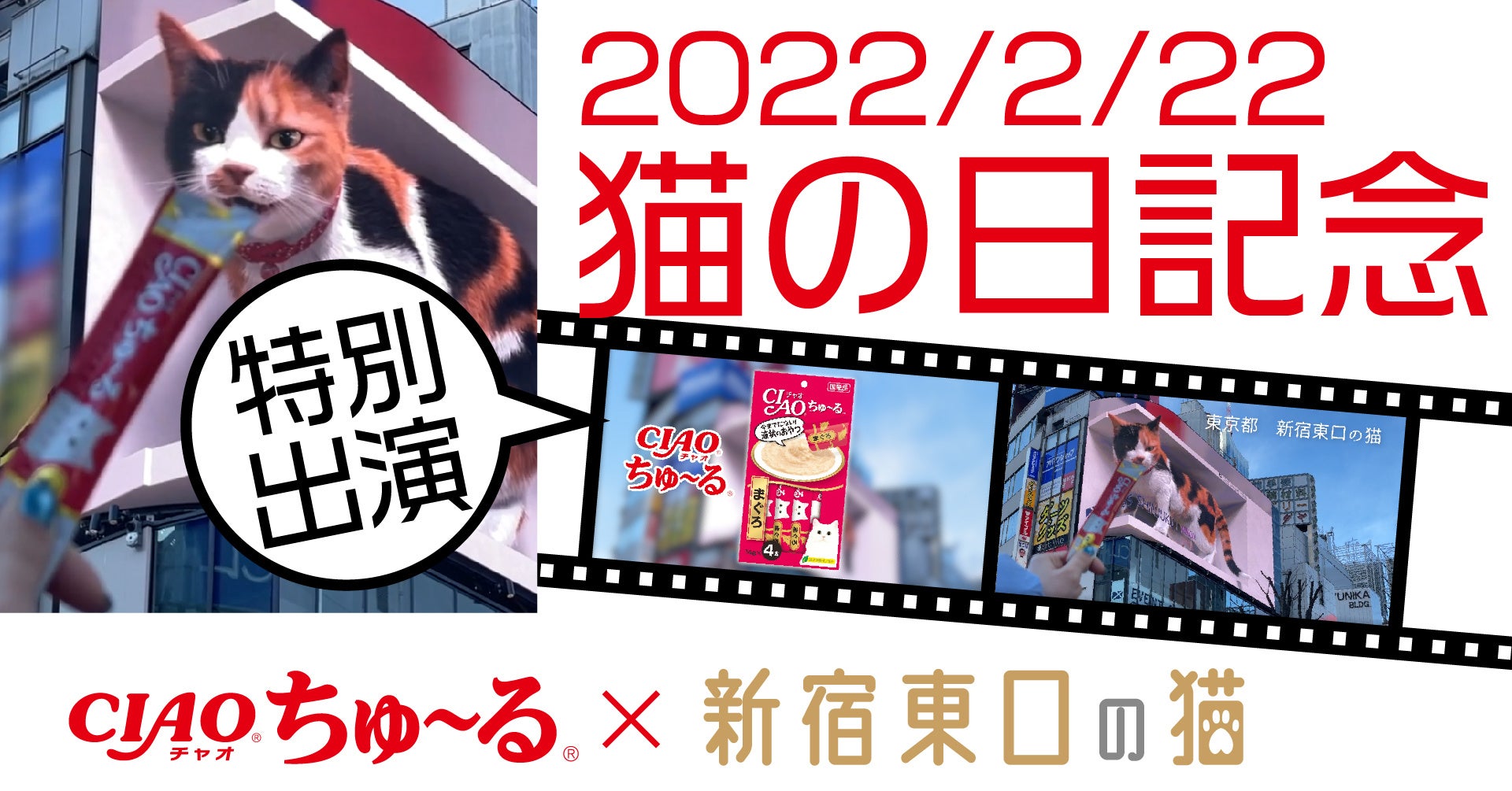 新宿の新名所 クロス新宿ビジョンに住む3d巨大猫 新宿東口の猫 が 2 22 猫 の日 を記念して Ciaoちゅ る Cmに特別出演 株式会社クロススペースのプレスリリース 新宿の新名所 クロス新宿ビジョンに住む3d巨大猫 新宿東口の猫 が 2 22 猫 の日 を記念して Ciaoちゅ る Cmに特別出演 株式会社クロススペースのプレスリリース