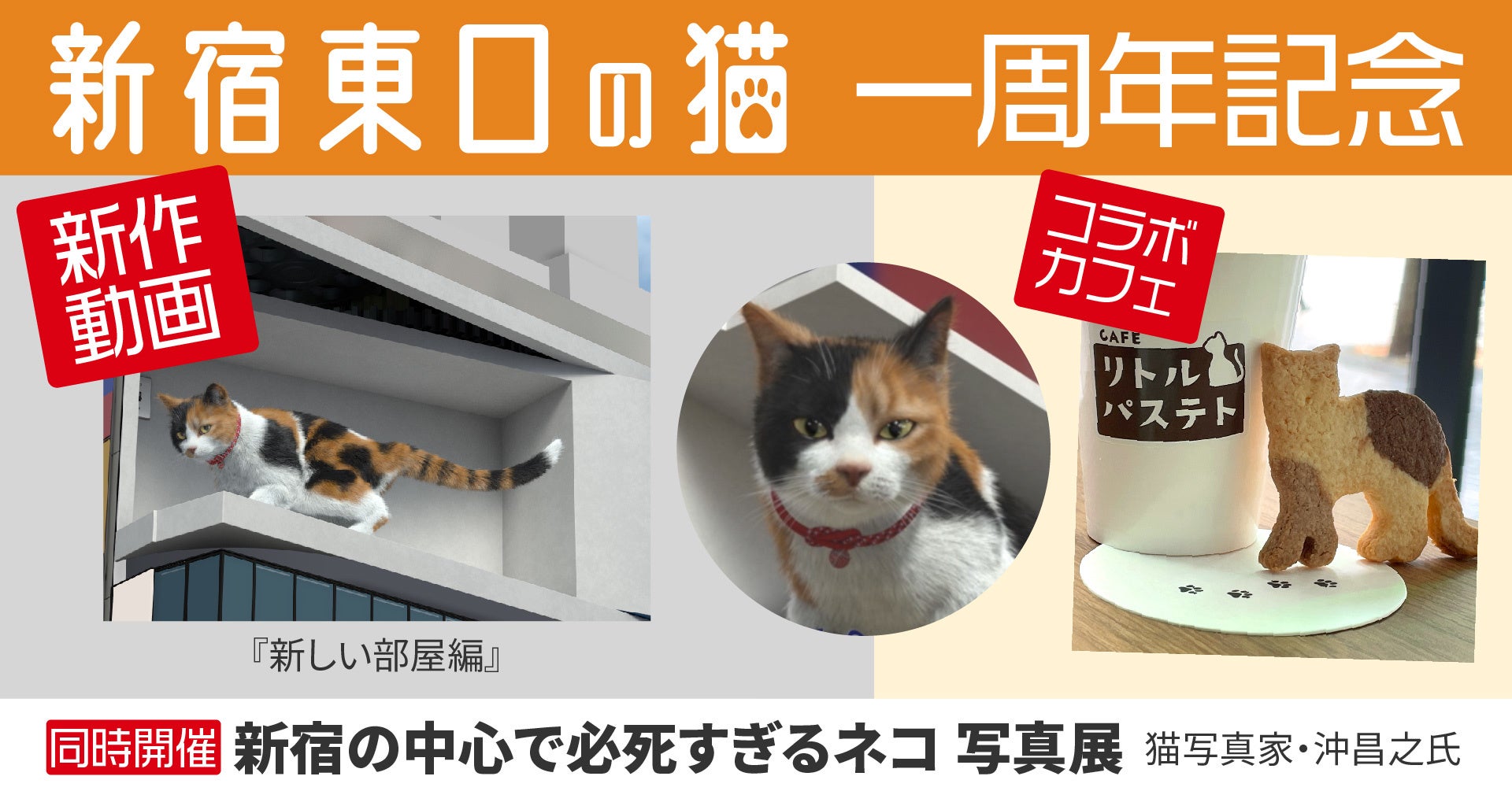 新宿東口の猫一周年記念