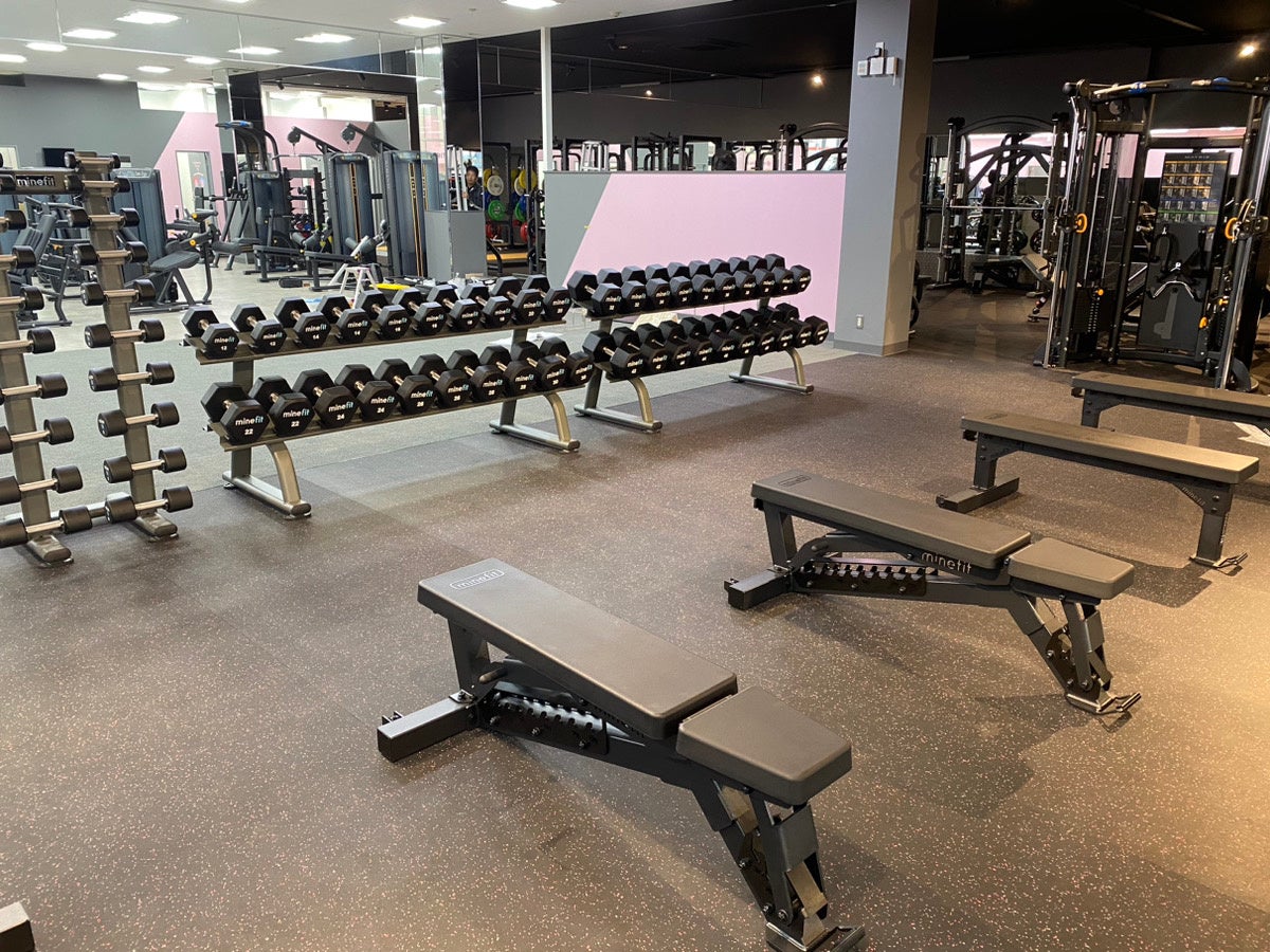 カタログ　THE FITNESS　ザ・フィットネス フィットネスジムFIT365（フィットサンロクゴ）ムサシ金沢店を