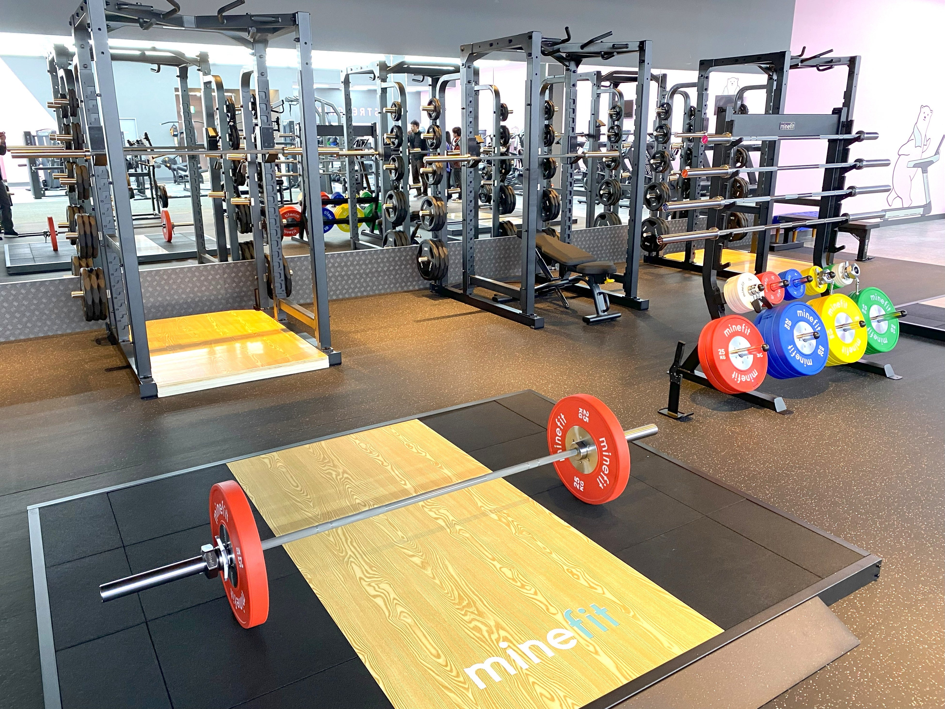 新潟県内最大級のフリーウエイトエリアと最新のトレーニングマシンを備えたフィットネスジムFIT365（フィットサンロクゴ）新潟東区大形店をグランドオープン