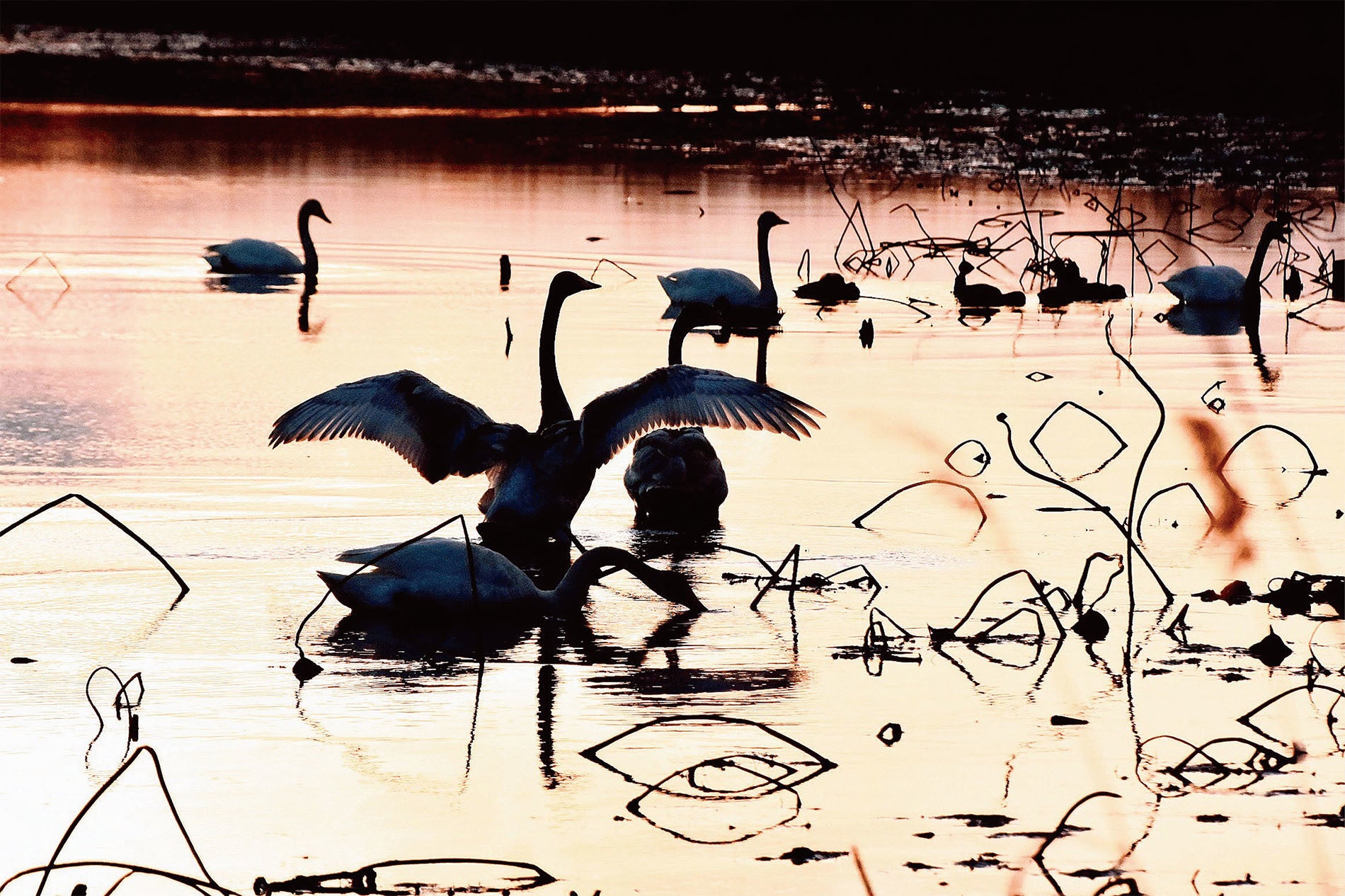 『自由な時間』大地のUniverse P33より