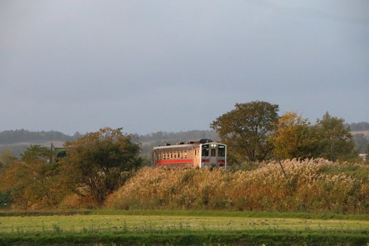 《新発売!》今しか乗れない、北の終着線へ。留萌本線に乗る3つの特別な列車旅を発売いたします 《新発売!》今しか乗れない、北の終着線へ。留萌本線に乗る3つの特別な列車旅を発売いたします