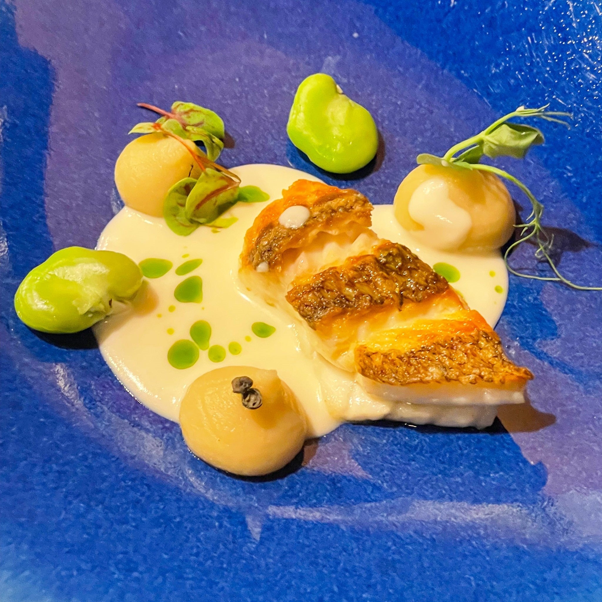 ※料理はイメージです