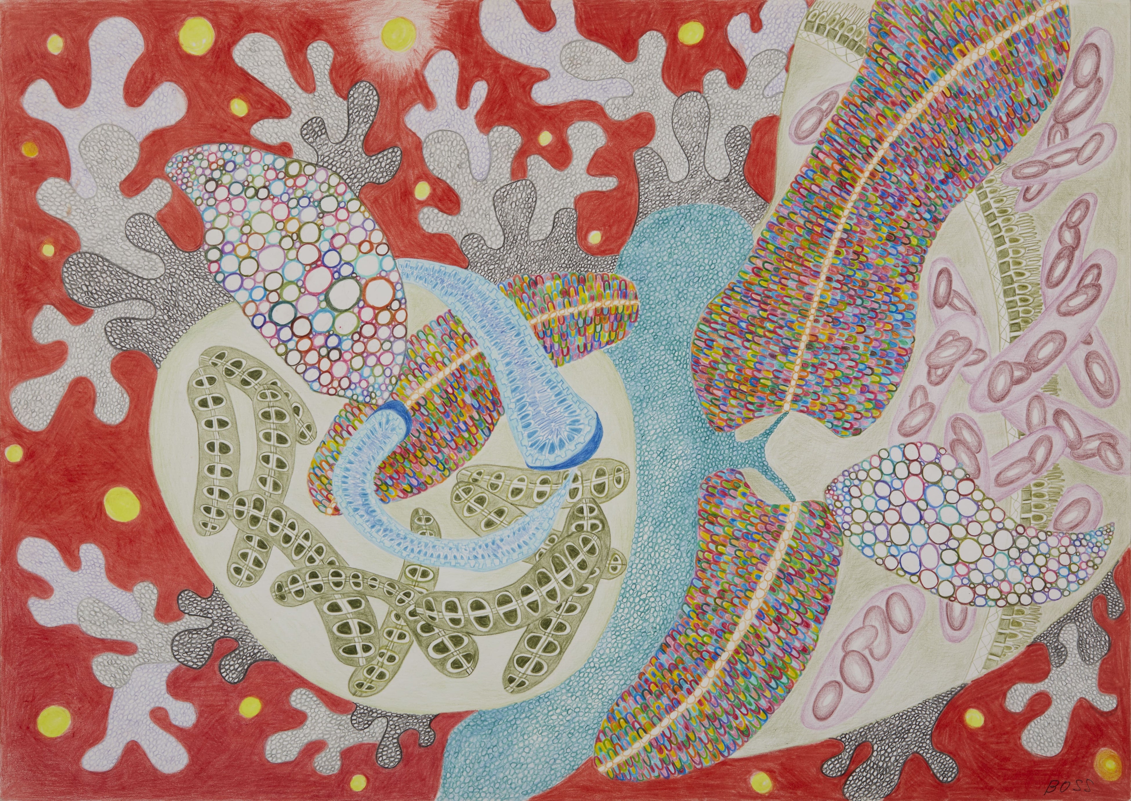 田口Boss(1945-) 熊本県