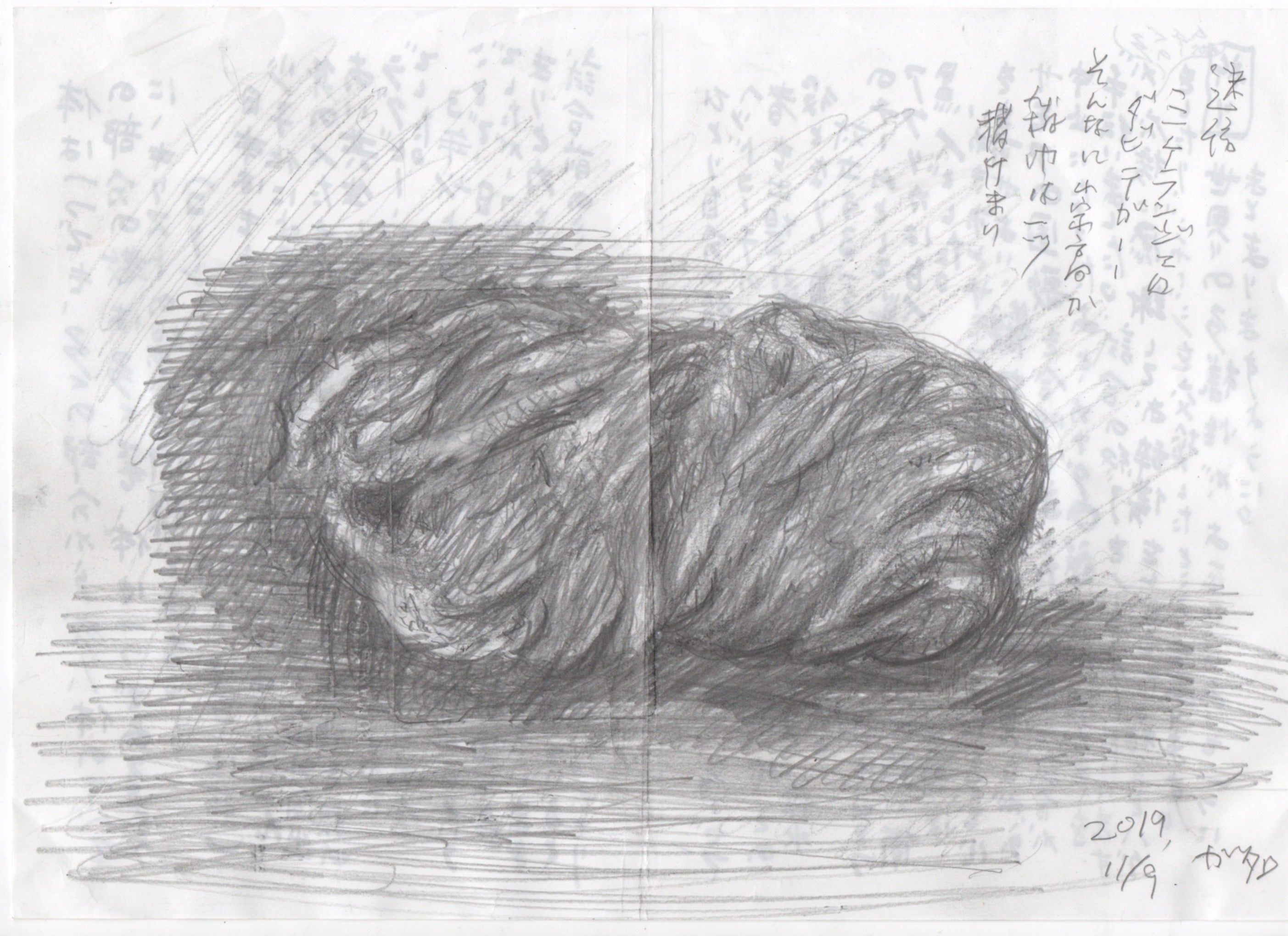 ガタロ(1949-) 広島県