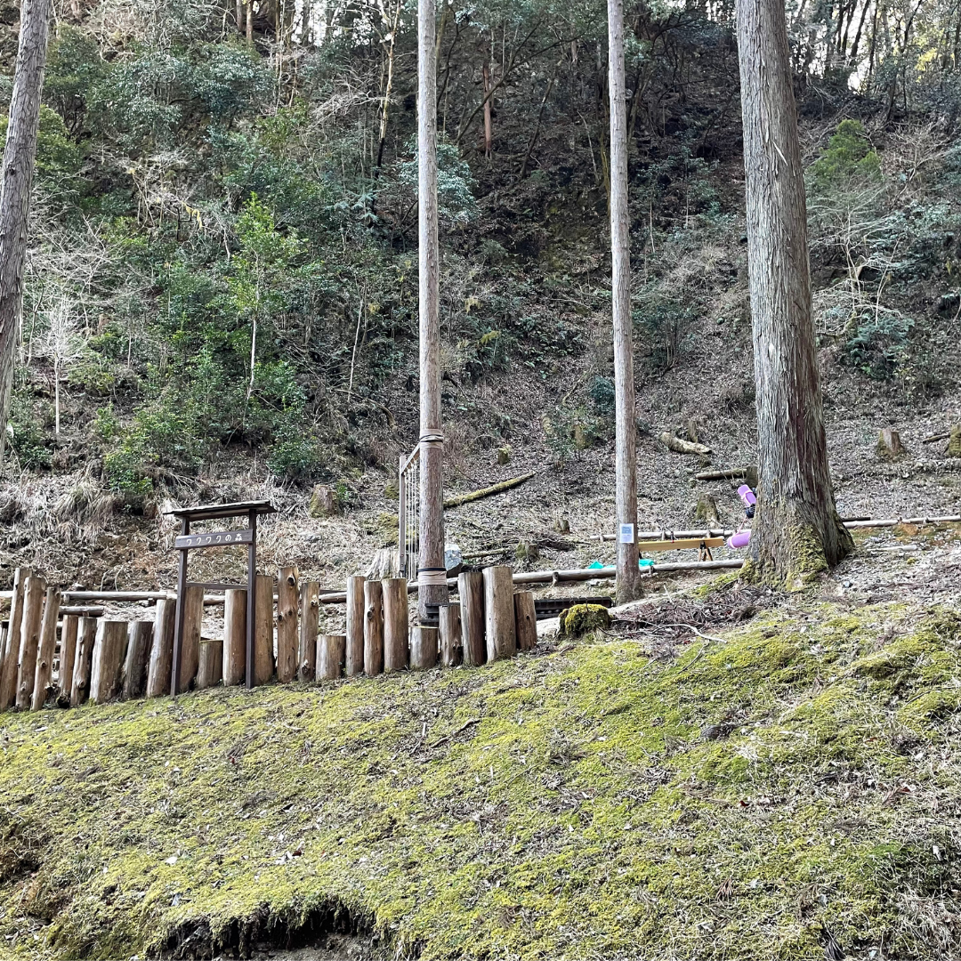 春前の広場の模様