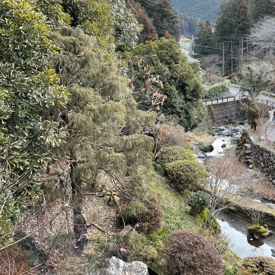 旅館から見える風景（一例）