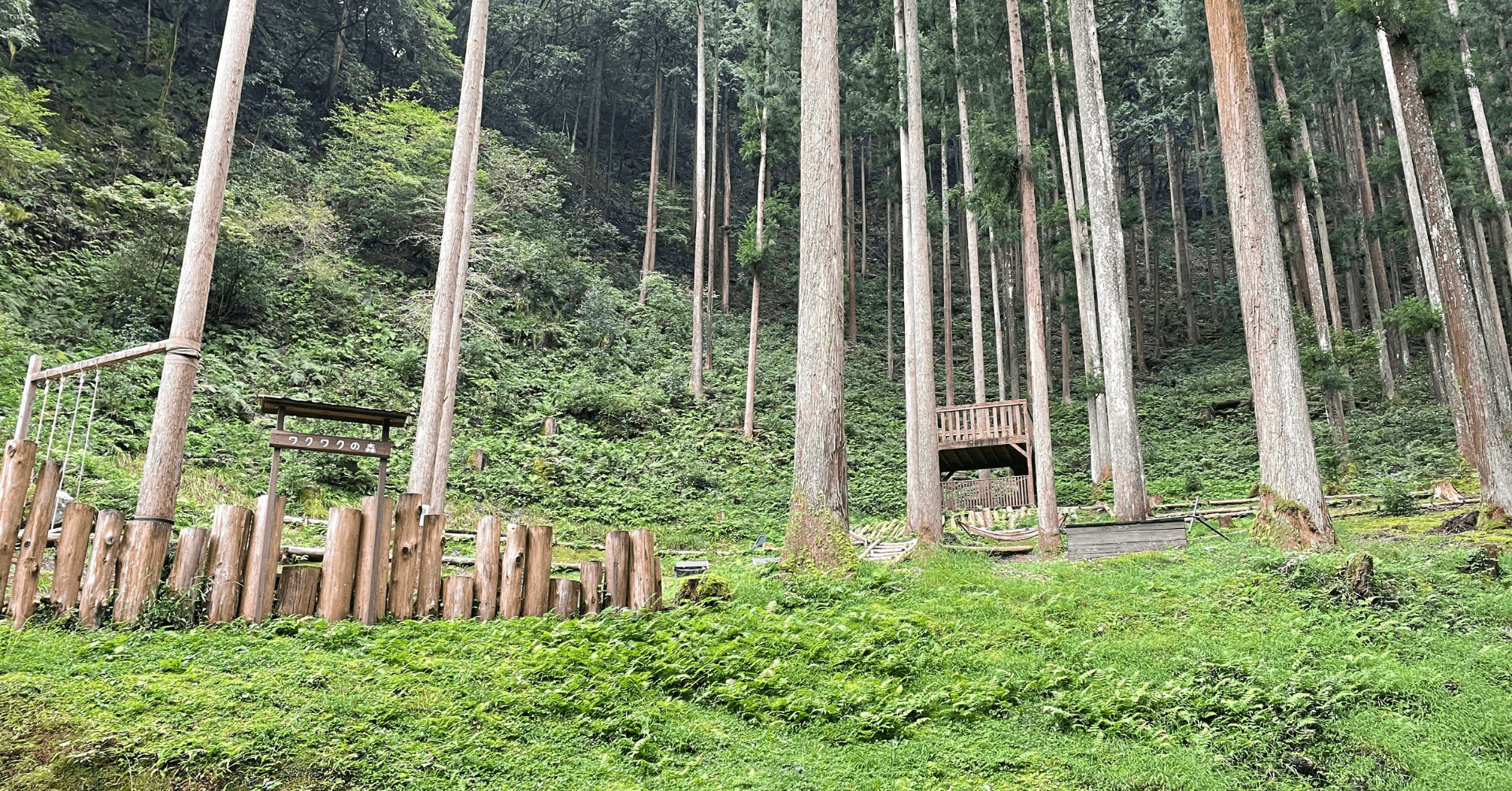 木々が立ち並ぶ広場