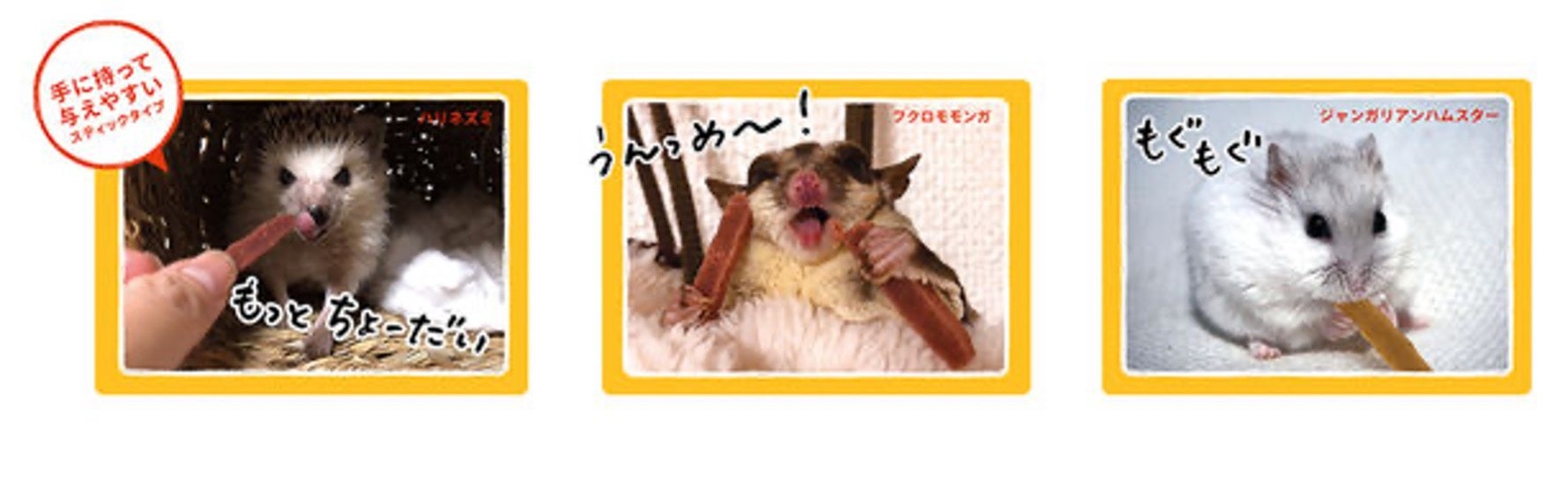 小動物はコオロギが好き！