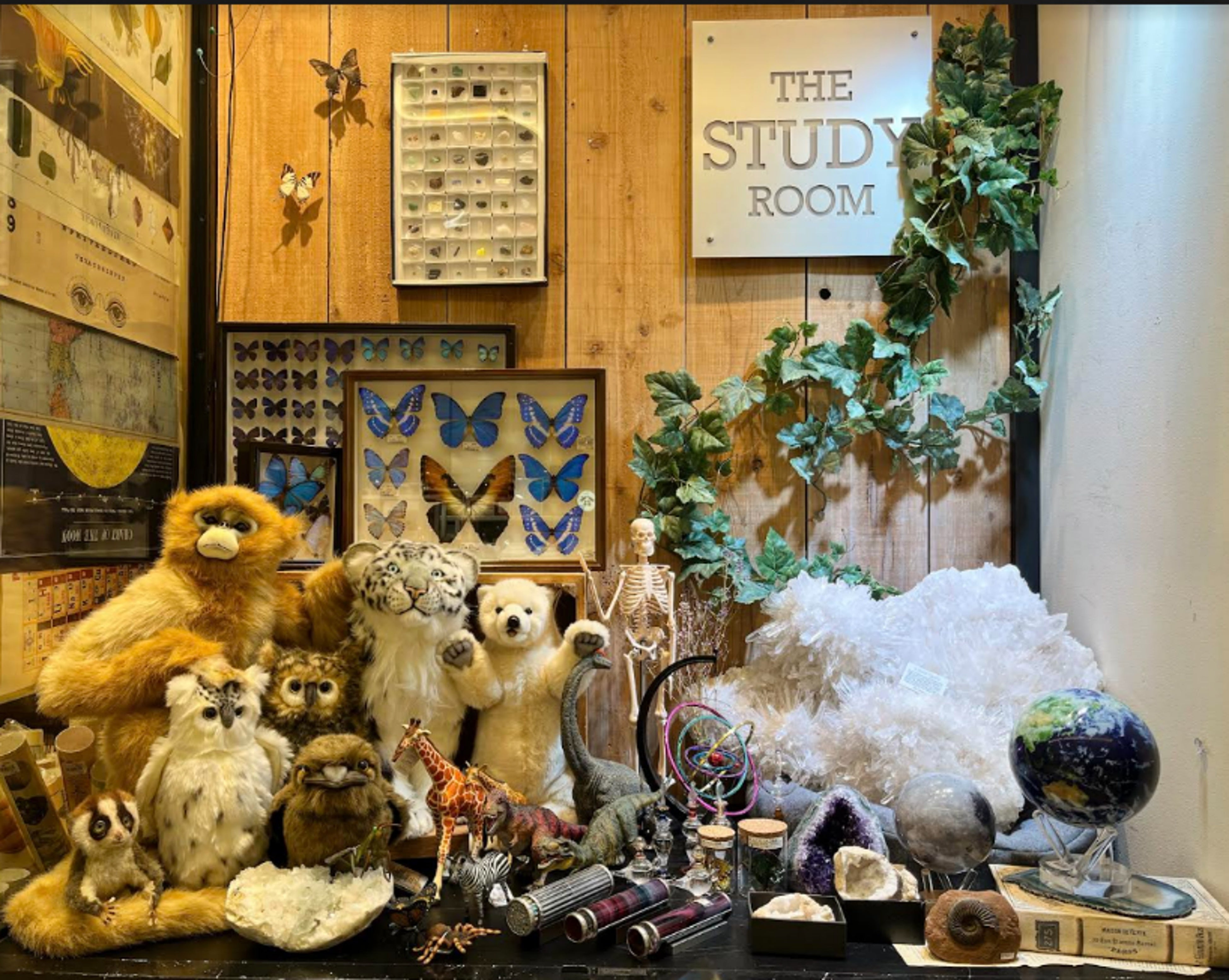 ザ・スタディールーム　【サイエンス雑貨】イメージ