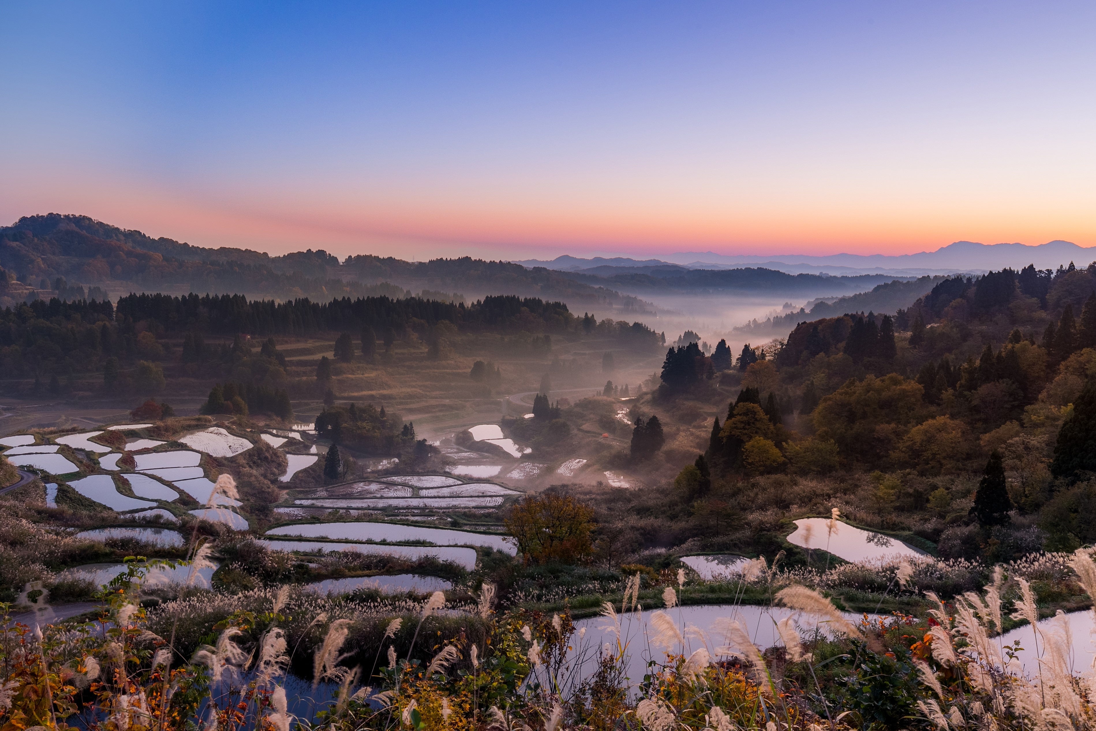 （一社）十日町市観光協会提供