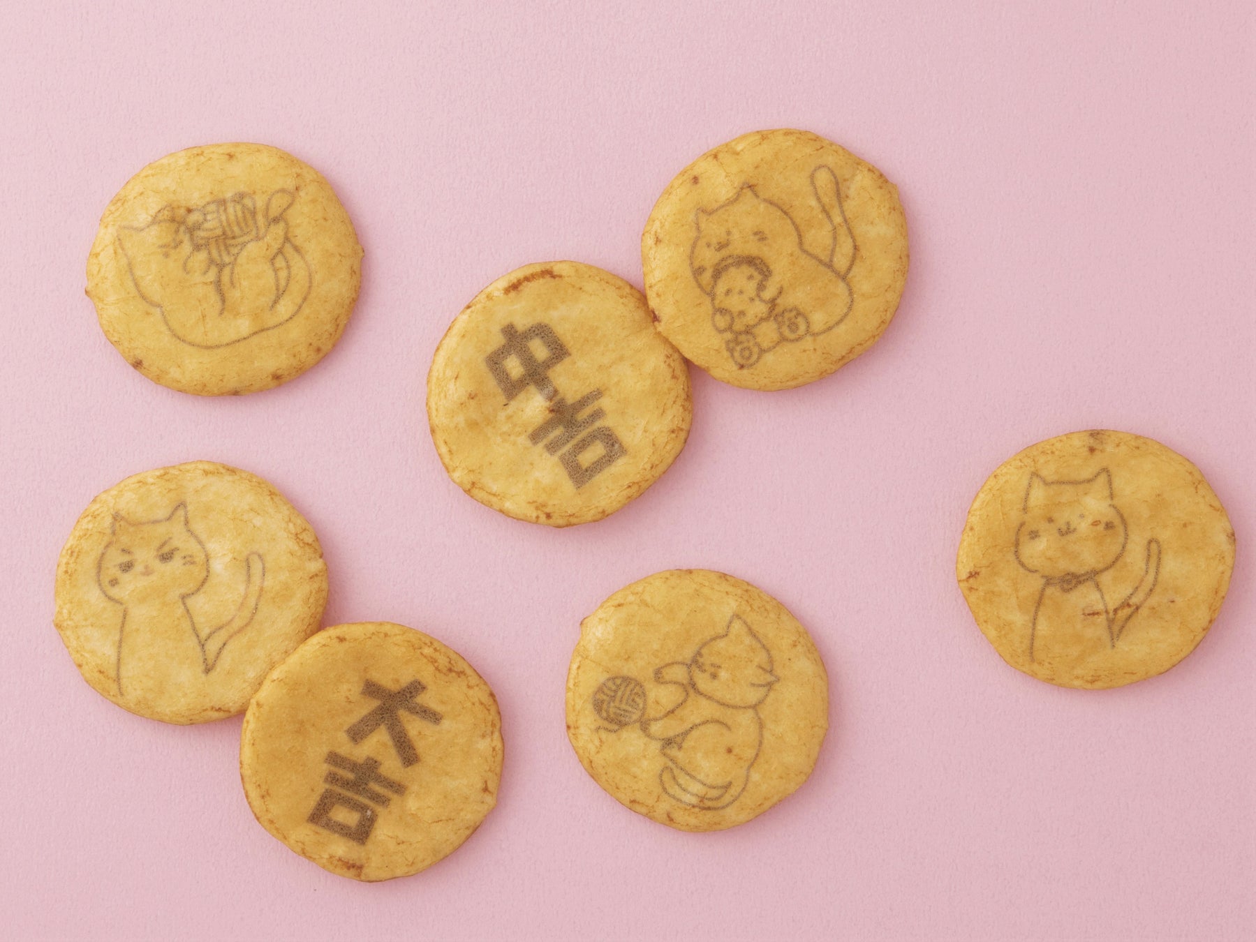 ねこみくじ  富士見堂(日暮里)8枚入 720円